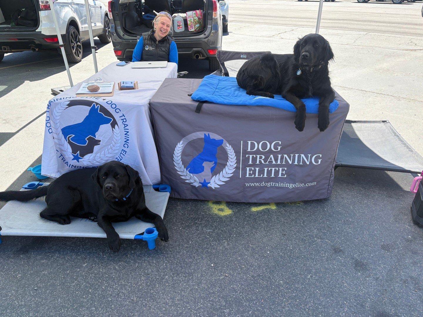 🐾 Come see us TODAY at the Farmers Market from 11 AM &ndash; 3 PM! 🐾

Raider and Gryff are ready for all the pets, belly rubs, and attention they can get&mdash;Wednesday Farmers Market days are their favorite! ❤️🐶

Stop by to say hello, meet our amazing pups, and learn more about how we help dogs and their families in our community. Whether you're dealing with puppy struggles, obedience challenges, or just want to help your dog become the best version of themselves by being a service dog, we'd love to chat!

Bring your pup, bring your questions, and come hang out with us. We can't wait to meet you and your furry friends! 🐕✨

📍 Farmers Market
🕚 11 AM &ndash; 3 PM

See you there!
