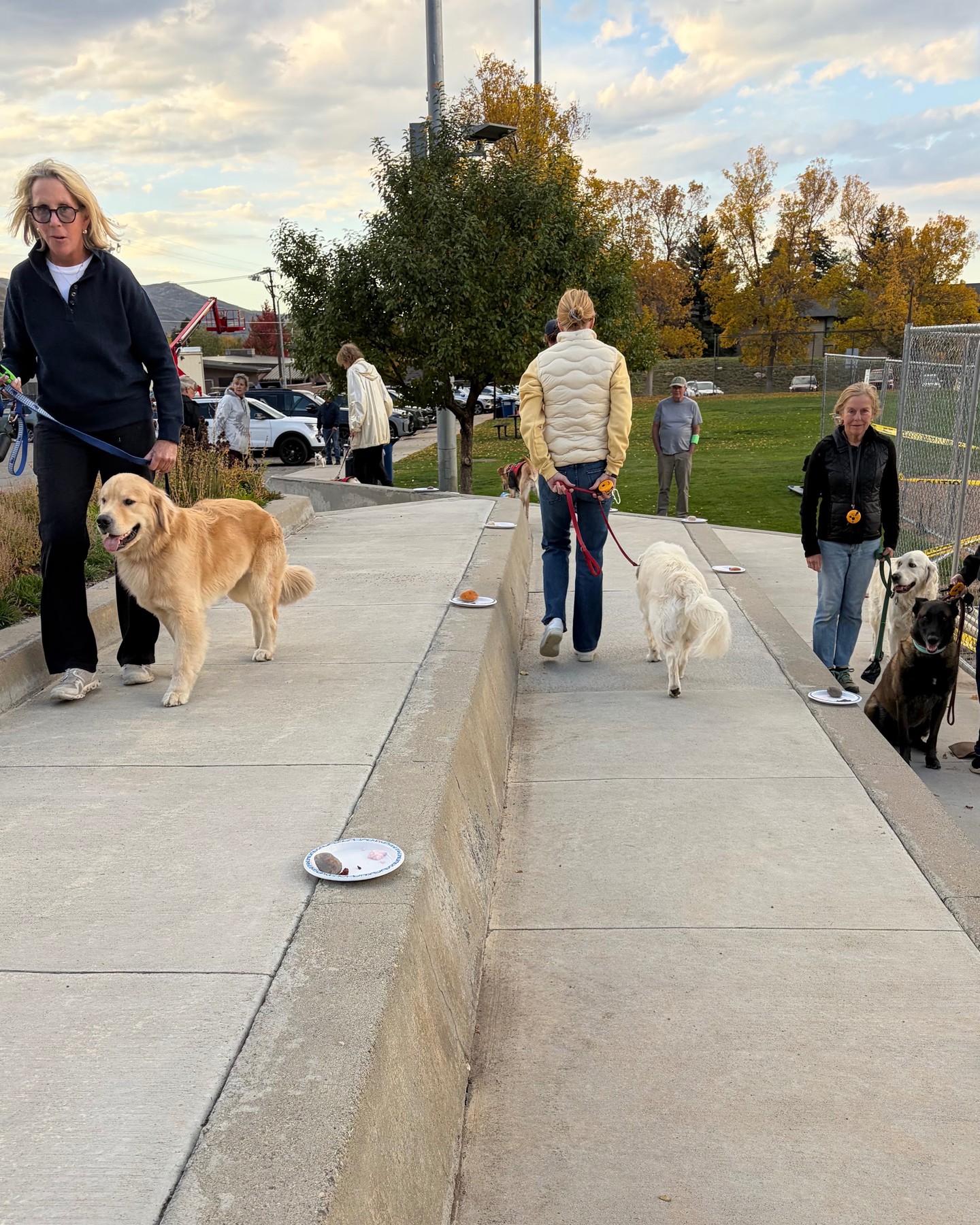🐾 Wednesday Group Class in Park City! 🐾

We love having everyone join us for group class every Wednesday! Yesterday, we put our dogs to the test with a little food distraction&mdash;perfect practice with the holidays coming up! 🎄🍗

Can your dog stay focused when there&rsquo;s food on the ground? 👀 If not, our training can help with that! 🐶❤️
