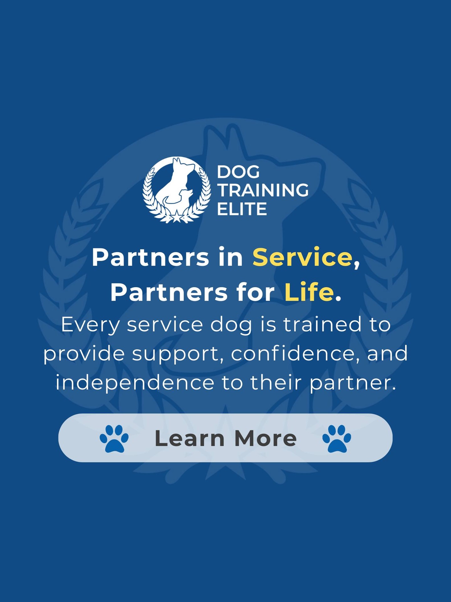 Looking for a loyal partner who truly makes a difference? 

We honor our veterans by training service dogs that provide real support every day. These specially trained companions help with mobility, anxiety, PTSD, and more, empowering heroes to live with confidence and independence.

🐾 Make better behavior your first win of the year. Book your free in-home evaluation and see why Park City and Heber City dog owners choose Dog Training Elite for real, lasting results.
📍 https://maps.app.goo.gl/xL9ReWGfV8sPah9e9



