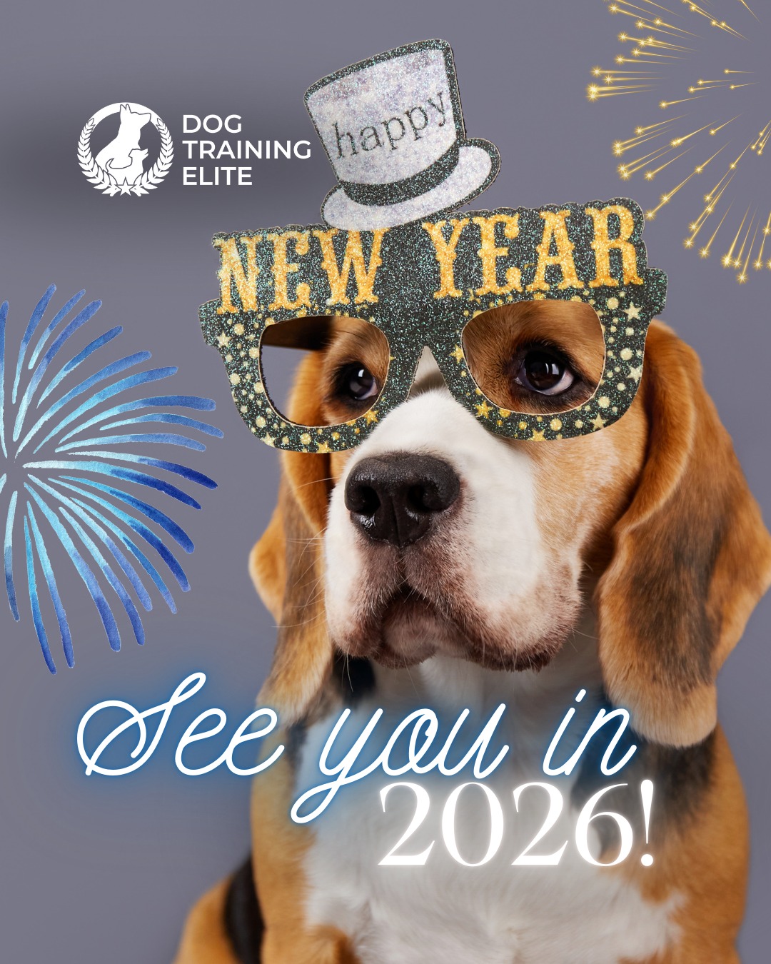 From Dog Training Elite Park City, we want to wish you a Happy New Year! 🐾 We are so thankful for everyone who trusted us with their pups this last year!

If your New Year&rsquo;s resolution is to have better communication with your dog, you&rsquo;re in the right place! Consistency, patience, and clear cues are the keys to transforming your dog&rsquo;s behavior this year. Set realistic goals: 5&ndash;10 minute daily training sessions can make a huge difference. 

 🎉From basic obedience to advanced service dog training, Dog Training Elite Park City helps dogs near Park City build better behavior and stronger bonds this season. 🐾
 📍https://maps.app.goo.gl/xL9ReWGfV8sPah9e9


