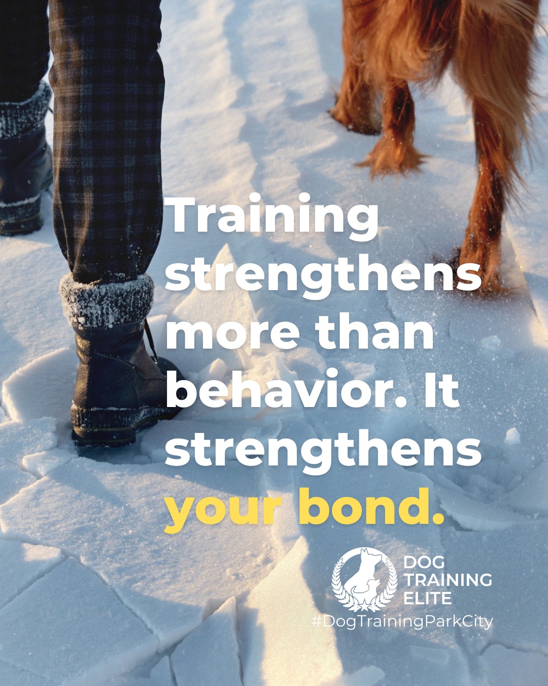 Looking to deepen your connection with your dog? Training isn&rsquo;t just about teaching commands, it&rsquo;s about building trust, improving communication, and creating a confident, well-behaved companion at home and in public. 

Every session strengthens your bond, helps your dog understand expectations, and brings peace of mind knowing they can handle real-world situations with reliability and calm.

Dog Training Elite Park City - whether you&rsquo;re in Summit or Wasatch Counties can help you achieve results that last and transform your dog into a trusted partner.

Make better behavior your first win of the year. Book your free in-home evaluation and see why Park City and Heber City dog owners choose Dog Training Elite for real, lasting results.
 📍 https://maps.app.goo.gl/xL9ReWGfV8sPah9e9


