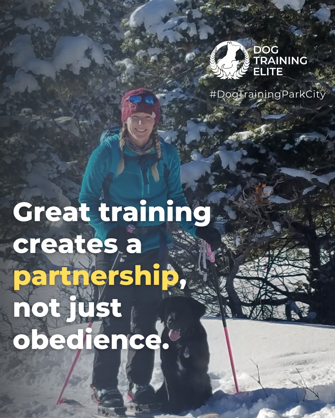 True partnership comes from understanding your dog and teaching them to respond calmly in everyday situations. 

Try these tips:
 ✅ Practice commands in different environments to generalize learning
 ✅ Reward calm behavior consistently, not just correct responses
 ✅ Use short, frequent training sessions to build focus and trust

When training becomes a partnership, your dog isn&rsquo;t just listening, they&rsquo;re learning to communicate and make good choices with confidence.

Make better behavior your first win of the year. Book your free in-home evaluation and see why Park City and Heber City dog owners choose Dog Training Elite for real, lasting results.
 📍 https://maps.app.goo.gl/xL9ReWGfV8sPah9e9


