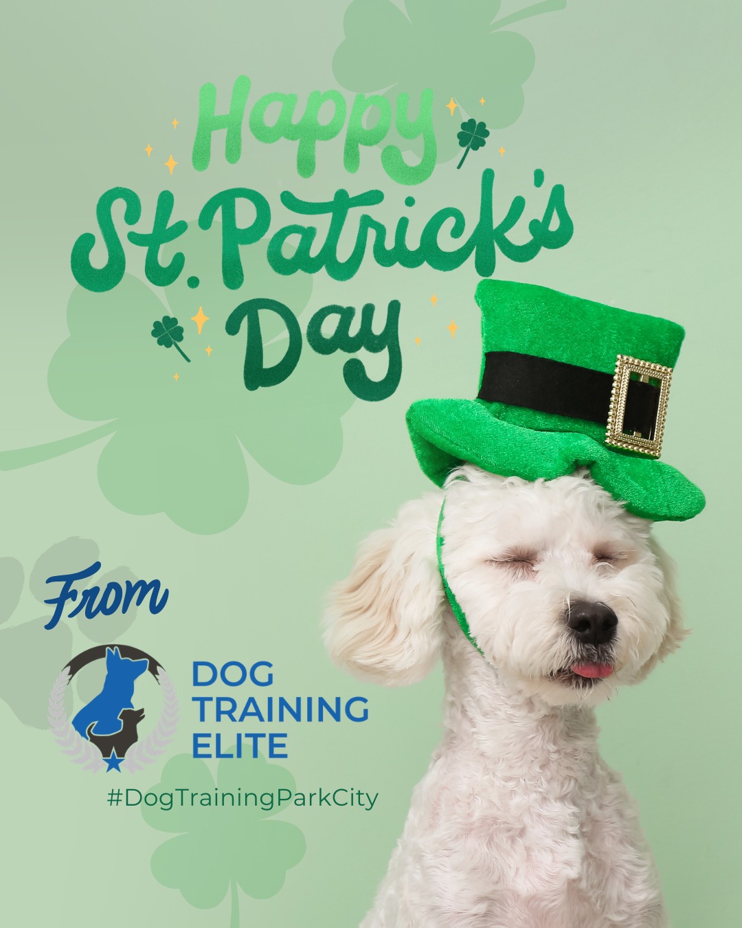 Our clients & their pups always make us feel the luckiest 🍀 

From DTE we want to wish you a St. Patrick&rsquo;s Day filled with extra playtime, confidence-building games, and fun training challenges. A little luck goes a long way when you&rsquo;re strengthening focus, calm behavior, and your bond. Show your dog some love and let them shine today!

🎯 Warm up your winter with a well-trained pup. Schedule your free in-home evaluation and see why families in Park City, Heber City, and surrounding areas trust Dog Training Elite for results that last through every season.
📍 https://maps.app.goo.gl/xL9ReWGfV8sPah9e9



 