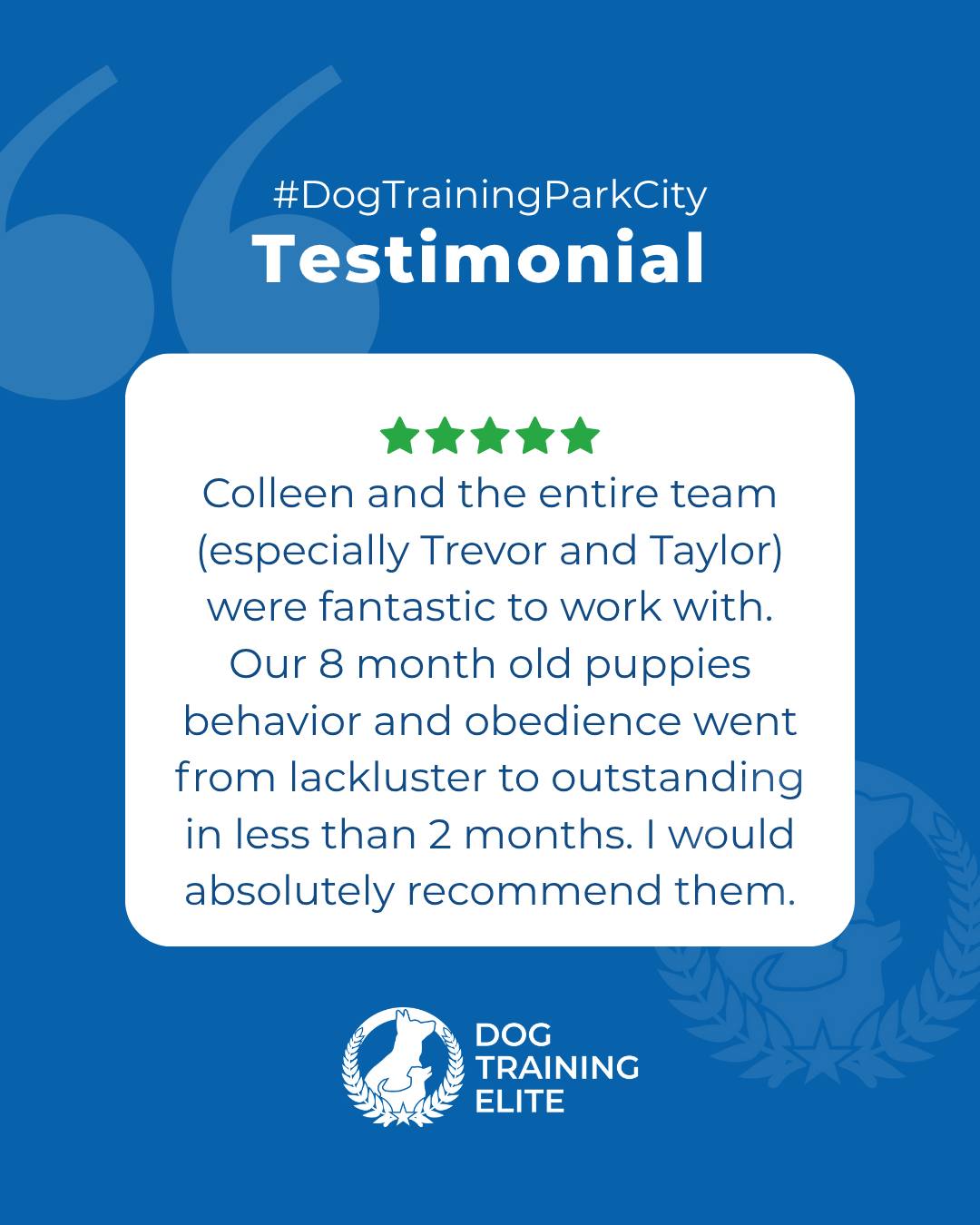 “Colleen and the entire team (especially Trevor and Taylor) were fantastic to work with. Our 8 month old puppies behavior and obedience went from lackluster to outstanding in less than 2 months. I would absolutely recommend them.” - Review from a happy customer 🐾❣️

Every canine transformation begins with trust. At Dog Training Elite Park City, we’ve seen it countless times. From anxious rescues to excitable pups, our balanced training approach builds calm, reliable behavior that lasts.

It’s not just about obedience. It’s about confidence, clarity, and connection.

📅 Ready to fall in love with a well-behaved pup? Schedule your free in-home evaluation and discover why neighbors across Park City, Heber City, and Summit County rely on Dog Training Elite. 🐶
 📍 https://maps.app.goo.gl/xL9ReWGfV8sPah9e9

 
 