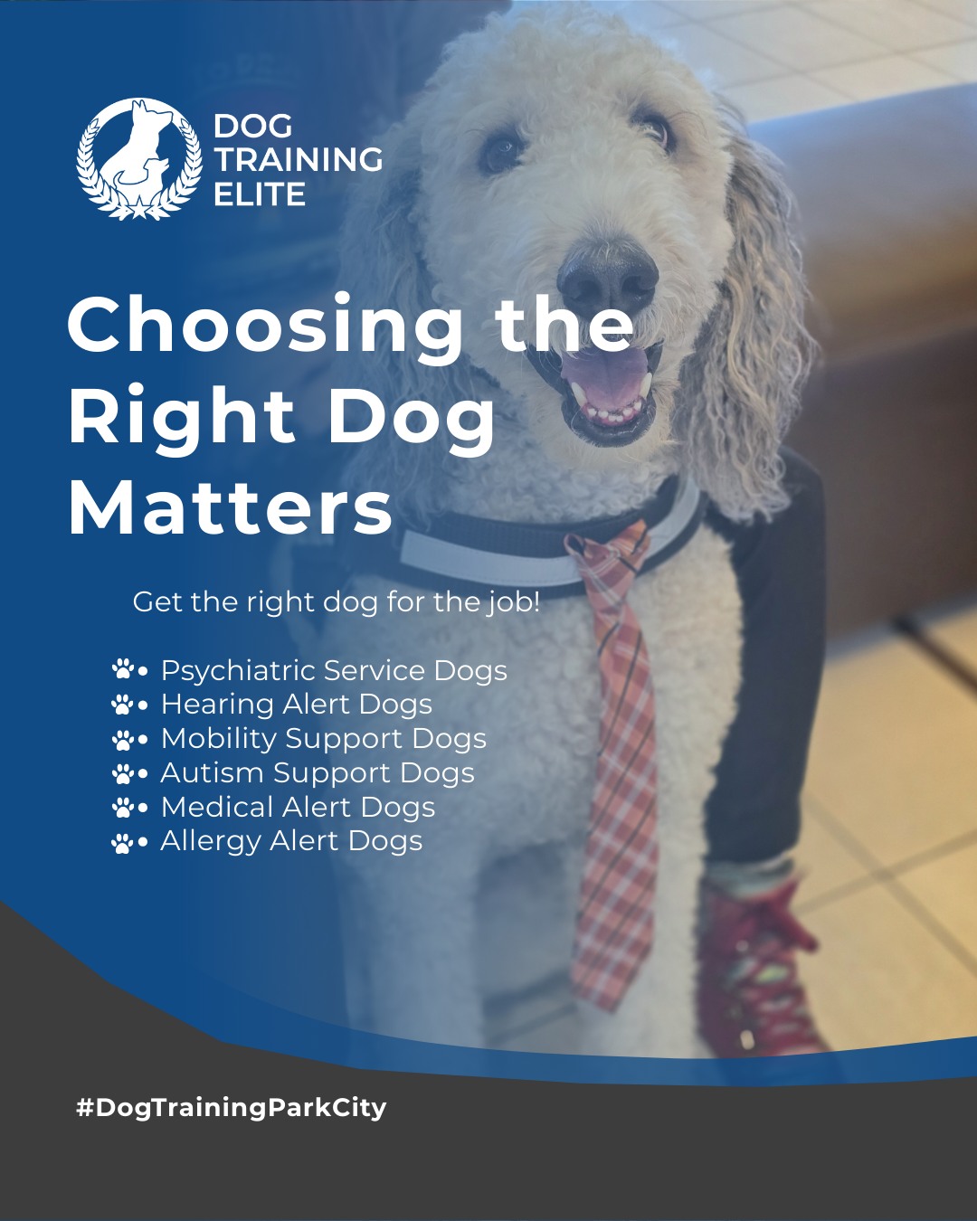 A service dog should do more than just follow commands.
At Dog Training Elite Park City, we train dogs to detect, respond to, and assist with real-life medical needs giving their people more confidence and independence.

✔️ Diabetic alert
 ✔️ Migraine detection
 ✔️ PTSD & anxiety response
 ✔️ Self-harm interruption
 ✔️ Medication retrieval & DPT
 ✔️ Allergy alert

From the neighborhoods of Park City to the trails of Summit County, our team is with you every step of the way from choosing the right dog to advanced task training.

Whether you’re working with one of our experienced trainers, attending group class at City Park, or practicing in public at the Park City Farmers Market, we’ve got you covered.

📍 Schedule your free in-home evaluation today:
https://maps.app.goo.gl/M3FBzRM1CPXPnf2o9


 
 