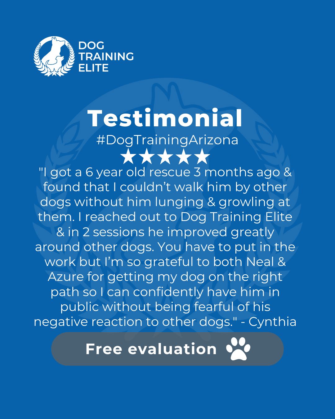 I got a 6 year old rescue 3 months ago & found that I couldn&rsquo;t walk him by other dogs without him lunging & growling at them. I tried an online program but reached a point where he wasn&rsquo;t improving. I reached out to Dog Training Elite & in 2 sessions he improved greatly around other dogs. He & I are still a work in progress but in our 3rd session he walked figure 8&rsquo;s around the trainers dog without reacting. You have to put in the work but I&rsquo;m so grateful to both Neal & Azure for getting my dog on the right path so I can confidently have him in public without being fearful of his negative reaction to other dogs. - Cynthia
Review from a happy customer 🐾

Training transformed their behavior and strengthened their bond. Discover how your dog can thrive too!

 🎉 Make better behavior your first win of the year. Book your free in-home evaluation and see why Phoenix and Mesa dog owners choose Dog Training Elite for real, lasting results.
 📍 Phoenix - https://maps.app.goo.gl/YM3gnzaFHsvd5sfN8 
Gilbert - https://maps.app.goo.gl/SBSyPCWqNkwPJkop6 
West Valley - https://maps.app.goo.gl/vCnmWwR7NquE3dZMA

 

