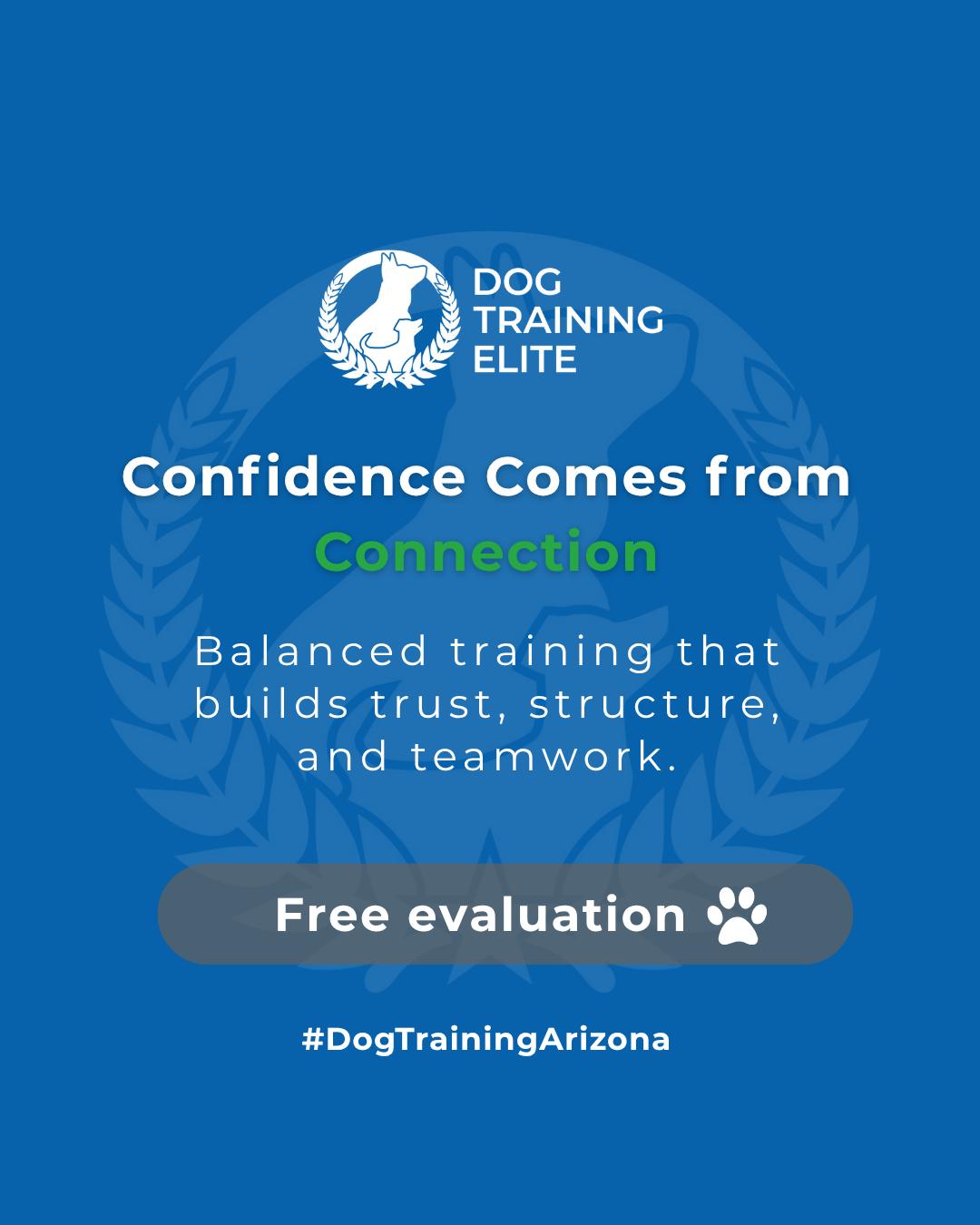 Is your dog great at home but struggles to listen in new places?

At Dog Training Elite Arizona, we know new sounds, smells, and people can be overwhelming. That’s why we focus on connection over control, helping your dog build confidence through guidance, structure, and trust. 

Whether you’re in a busy neighborhood like Paradise Valley or Arcadia, we’re here to strengthen the bond between you and your dog through teamwork and consistent guidance.

📅 Schedule your free in-home evaluation this season and see why families in Phoenix, Mesa, and Scottsdale trust Dog Training Elite for lasting results. 🍂

 📍 Mesa - https://maps.app.goo.gl/AehLhzLyDxyWZbvQ9 Gilbert - https://maps.app.goo.gl/6x7GnskKrVQeChCY9 Phoenix - https://maps.app.goo.gl/o17XhjeKWVqvR6dG9 Scottsdale https://maps.app.goo.gl/uGTLoYKmC9WkKCQR6 West Valley/Glendale https://maps.app.goo.gl/QdtrT9H6LvqeiNEm6


