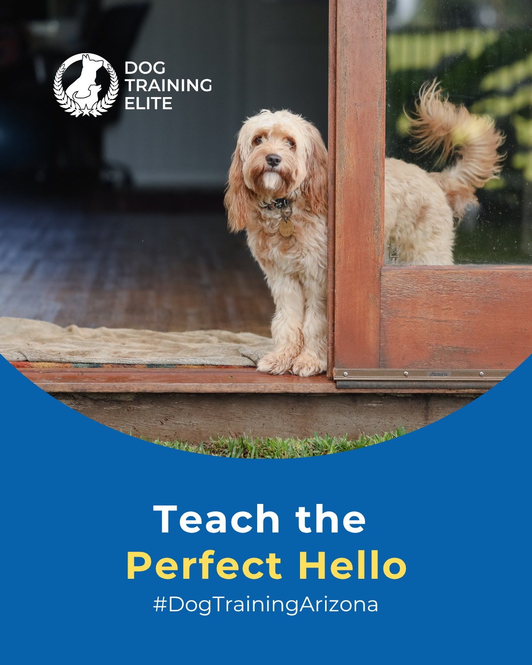Do you have a door dasher or a high jumper? 🚪🐕

 Jumping might be cute when they’re small, but polite pup greetings make for happier humans. 💛

👇 Try these quick training tips:
 🐾 Keep greetings short and controlled
 🐾 Reward calm, polite behavior right away
 🐾 Redirect that excitement with a clear command

Help your dog master calm introductions, one greeting at a time. ✨

With our expert local trainers, your dog can stay focused, polite, and confident in any social setting, from Paradise Valley to Mesa.

🎯 From basic obedience to advanced service dog training, Dog Training Elite Arizona helps dogs near Westworld of Scottsdale build better behavior and stronger bonds this fall. 🐾
📍 Mesa - https://maps.app.goo.gl/AehLhzLyDxyWZbvQ9 
Gilbert - https://maps.app.goo.gl/6x7GnskKrVQeChCY9 
Phoenix - https://maps.app.goo.gl/o17XhjeKWVqvR6dG9 Scottsdale https://maps.app.goo.gl/uGTLoYKmC9WkKCQR6 West Valley/Glendale https://maps.app.goo.gl/QdtrT9H6LvqeiNEm6


 
 