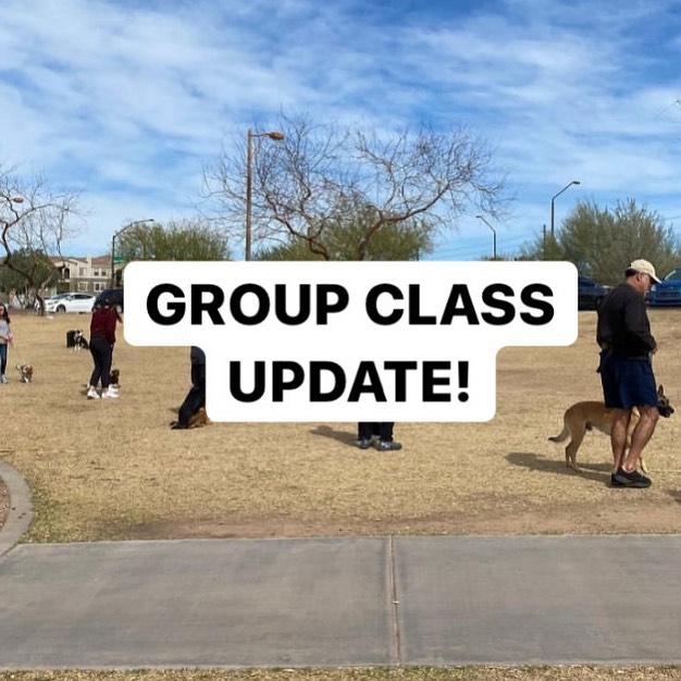 Important Group class updates! ☀️
Due to the summer heat we now have new group class times. 
.
Goodyear & Gilbert Group 8am
.
Phoenix Group 10am
.
Service & Therapy dog Group 12pm
.
.
🐾🐾🐾
