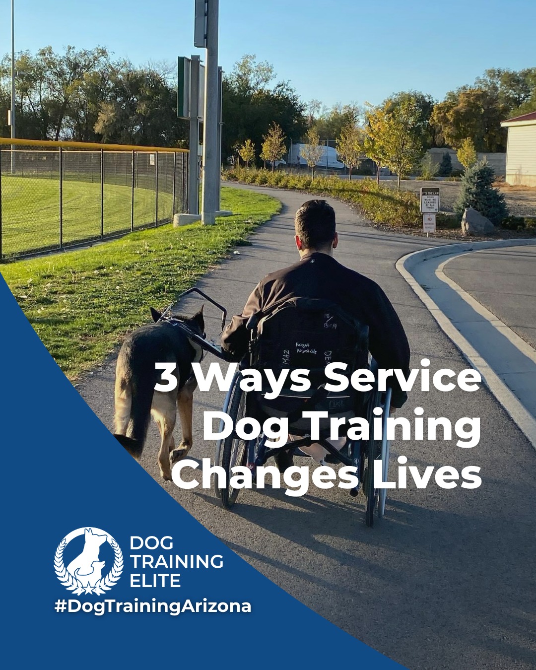 Service dogs are trained to do more than follow cues. They provide reliable support in moments that matter most. Proper service dog training focuses on calm behavior, advanced task work, and strong handler communication in real-world environments.

Service dog training may support individuals who:
 🐾 Live with PTSD, anxiety, or depression, including veterans and civilians
 🐾 Are on the autism spectrum and benefit from structured, task-oriented support
 🐾 Have epilepsy and require alert or response-based behaviors
Participating locations also offer advanced medical training for qualifying teams. 

Every service dog program is customized to the needs of the handler and the responsibilities required of the dog.
Service dog training is about trust, consistency, and life-changing partnership.

 🦮From basic obedience to advanced service dog training, Dog Training Elite Arizona helps dogs near Phoenix build better behavior and stronger bonds this season. 🐾
📍 Phoenix - https://maps.app.goo.gl/YM3gnzaFHsvd5sfN8 
Gilbert - https://maps.app.goo.gl/SBSyPCWqNkwPJkop6 
West Valley - https://maps.app.goo.gl/vCnmWwR7NquE3dZMA


