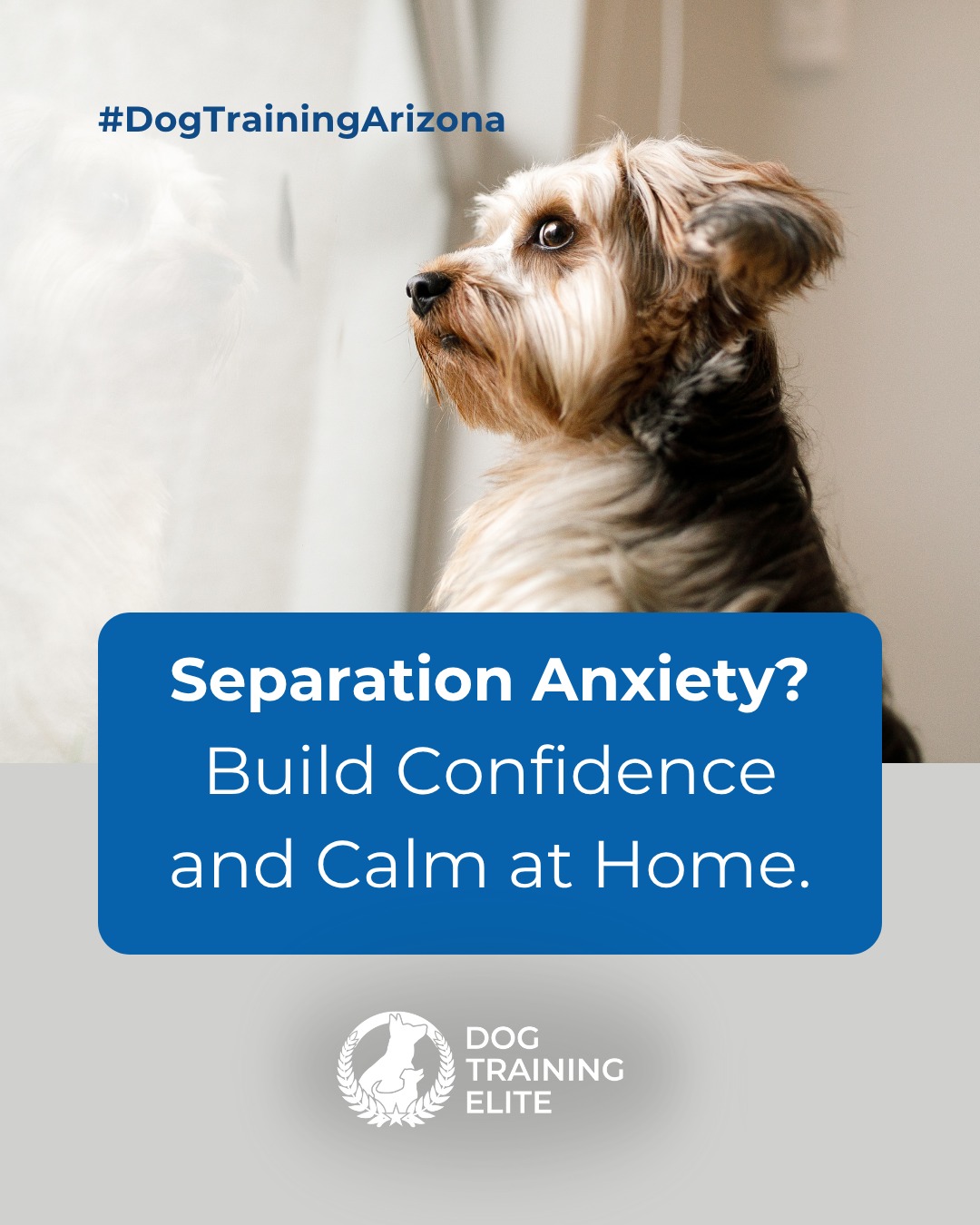 Does your dog panic the moment you grab your keys?

Dog Training Elite Arizona offers expert separation anxiety training that teaches dogs to stay calm and confident when you’re away. Our approach blends structured routines, behavior modification, and practical tools for home use.

From interactive toys to step-by-step alone-time practice, your dog will learn that being alone doesn’t have to be stressful. Because a peaceful pup means no more tiptoeing out the door. 🚪🐾

 📅 Ready to fall in love with a well-behaved pup? Schedule your free in-home evaluation and discover why neighbors across Phoenix, Mesa, and Scottsdale rely on Dog Training Elite. 🐶

 📍 Mesa - https://maps.app.goo.gl/AehLhzLyDxyWZbvQ9 Gilbert - https://maps.app.goo.gl/6x7GnskKrVQeChCY9 Phoenix - https://maps.app.goo.gl/o17XhjeKWVqvR6dG9 Scottsdale https://maps.app.goo.gl/uGTLoYKmC9WkKCQR6 West Valley/Glendale https://maps.app.goo.gl/QdtrT9H6LvqeiNEm6


