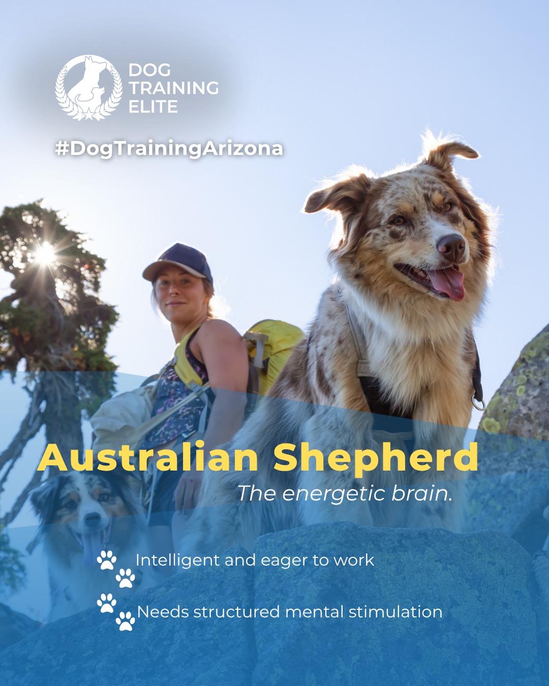 Your Aussie’s brain runs faster than their paws.⚡🐾 Give them a challenge they’ll love! 

Australian Shepherds are intelligent and driven. Advanced obedience training helps them focus their energy and stay reliable companions for both service and family roles. 

Short, structured sessions and mental challenges are key to keeping them happy and confident.

📅 From basic obedience to advanced service dog training, Dog Training Elite Arizona helps dogs near Westworld of Scottsdale build better behavior and stronger bonds this fall. 🐾

 📍 Mesa - https://maps.app.goo.gl/AehLhzLyDxyWZbvQ9 Gilbert - https://maps.app.goo.gl/6x7GnskKrVQeChCY9 Phoenix - https://maps.app.goo.gl/o17XhjeKWVqvR6dG9 Scottsdale https://maps.app.goo.gl/uGTLoYKmC9WkKCQR6 West Valley/Glendale https://maps.app.goo.gl/QdtrT9H6LvqeiNEm6



