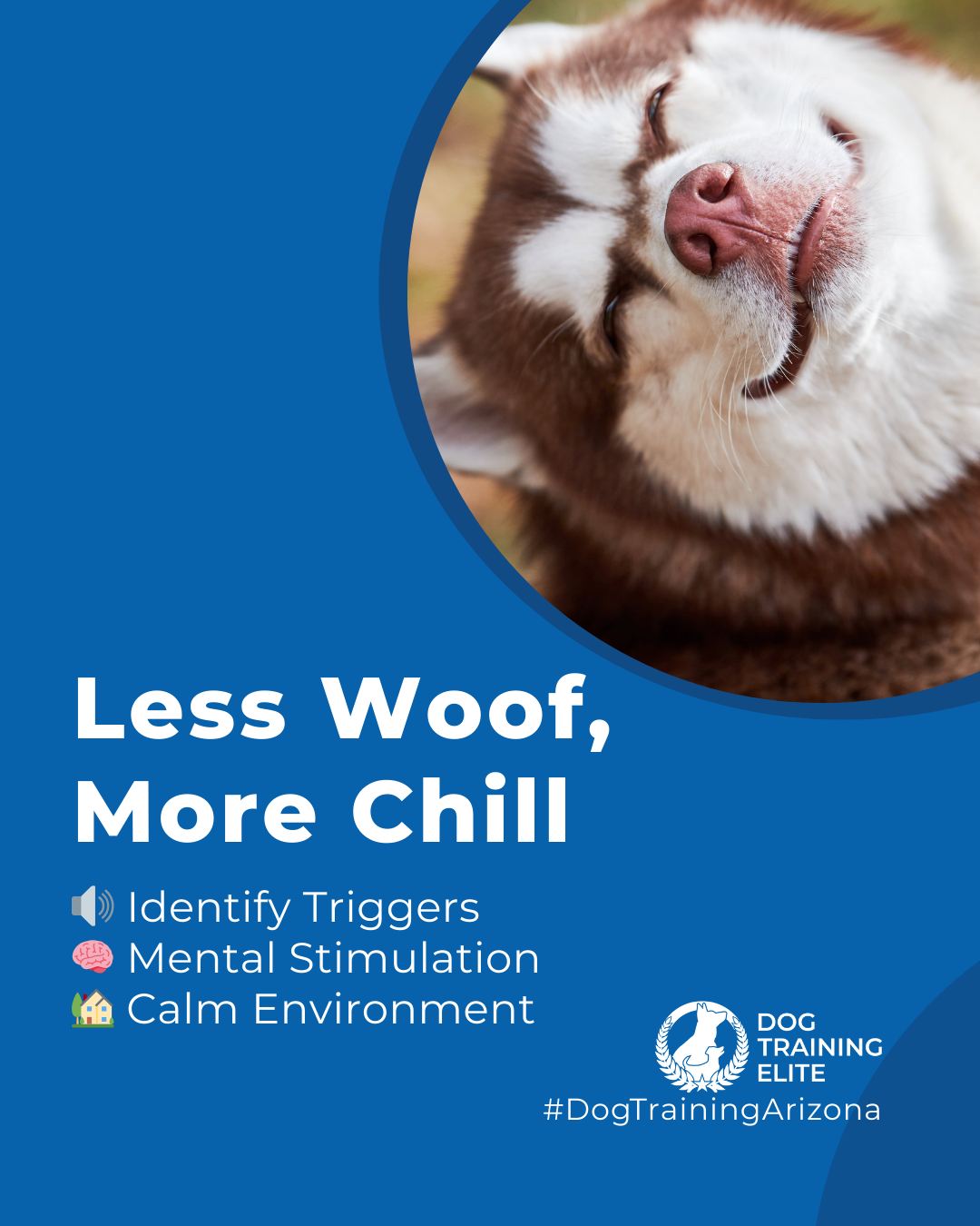 Excessive barking can stem from anxiety, boredom, or excitement. Dogs often bark at noises, strangers, or when they&rsquo;re left unstimulated, which can disrupt your home and daily life.

Recognizing triggers and teaching calm behavior is key to managing excessive barking. At Dog Training Elite Arizona, you&rsquo;ll work with Alexa, Azure, Karen & Neal to help your dog learn when it&rsquo;s appropriate to bark and guide them to remain calm at home and in public. With consistent training and mental enrichment, your dog can focus, relax, and enjoy a quieter environment.

Schedule a free consultation today to start helping your dog manage their barking in a healthier, calmer way.

🐾 Make better behavior your first win of the year. Book your free in-home evaluation and see why Phoenix and Mesa dog owners choose Dog Training Elite for real, lasting results.
 📍 Phoenix - https://maps.app.goo.gl/YM3gnzaFHsvd5sfN8 
Gilbert - https://maps.app.goo.gl/SBSyPCWqNkwPJkop6 
Scottsdale - https://maps.app.goo.gl/4zRvDfmio9XuMyYH9 
West Valley - https://maps.app.goo.gl/vCnmWwR7NquE3dZMA


 