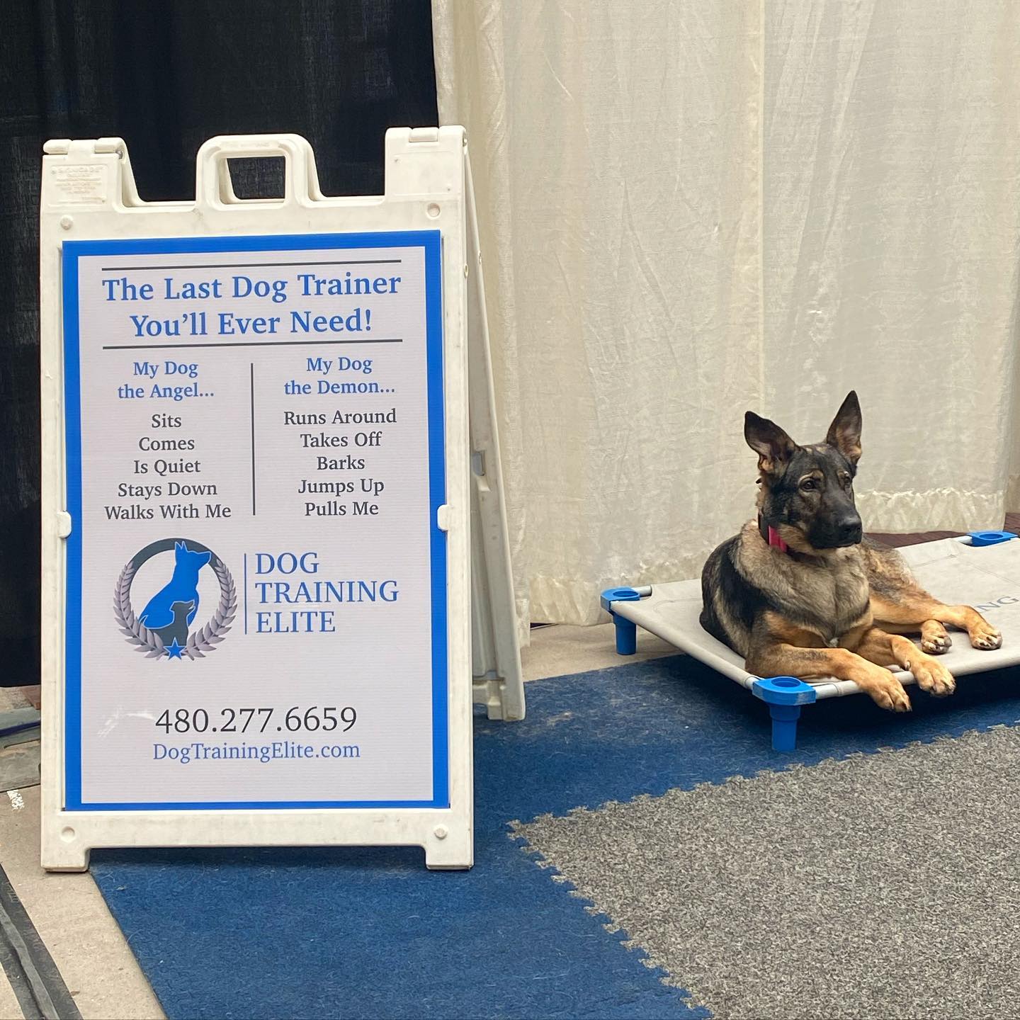Successful Saturday at the @maricopacountyhomeshows ! See you Sunday! 🐶
.
.
🐾🐾🐾
