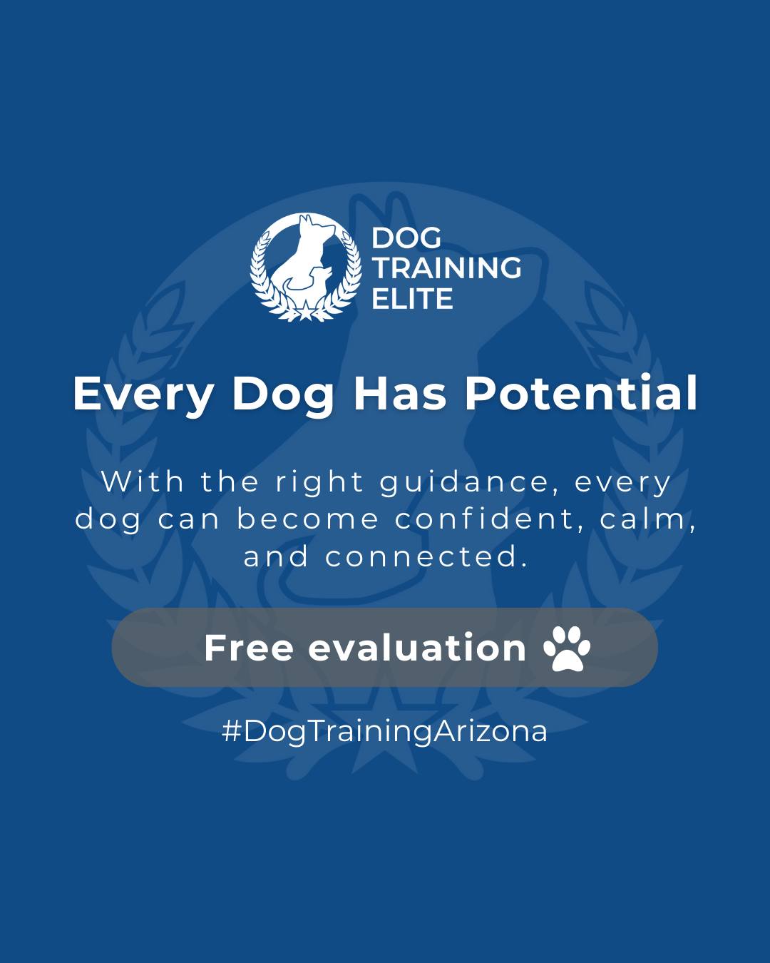 From puppy basics to advanced obedience and service training, every dog can learn to thrive with guidance from Dog Training Elite Phoenix, Mesa, and Scottsdale. 

We help dogs build confidence, focus, and calm behavior, strengthening the bond between you and your best friend.

🎯 From basic obedience to advanced service dog training, Dog Training Elite Arizona helps dogs near Phoenix build better behavior and stronger bonds this season. 🐾
 📍 Phoenix - https://maps.app.goo.gl/YM3gnzaFHsvd5sfN8 
Gilbert - https://maps.app.goo.gl/SBSyPCWqNkwPJkop6 
Scottsdale - https://maps.app.goo.gl/4zRvDfmio9XuMyYH9 
West Valley - https://maps.app.goo.gl/vCnmWwR7NquE3dZMA


