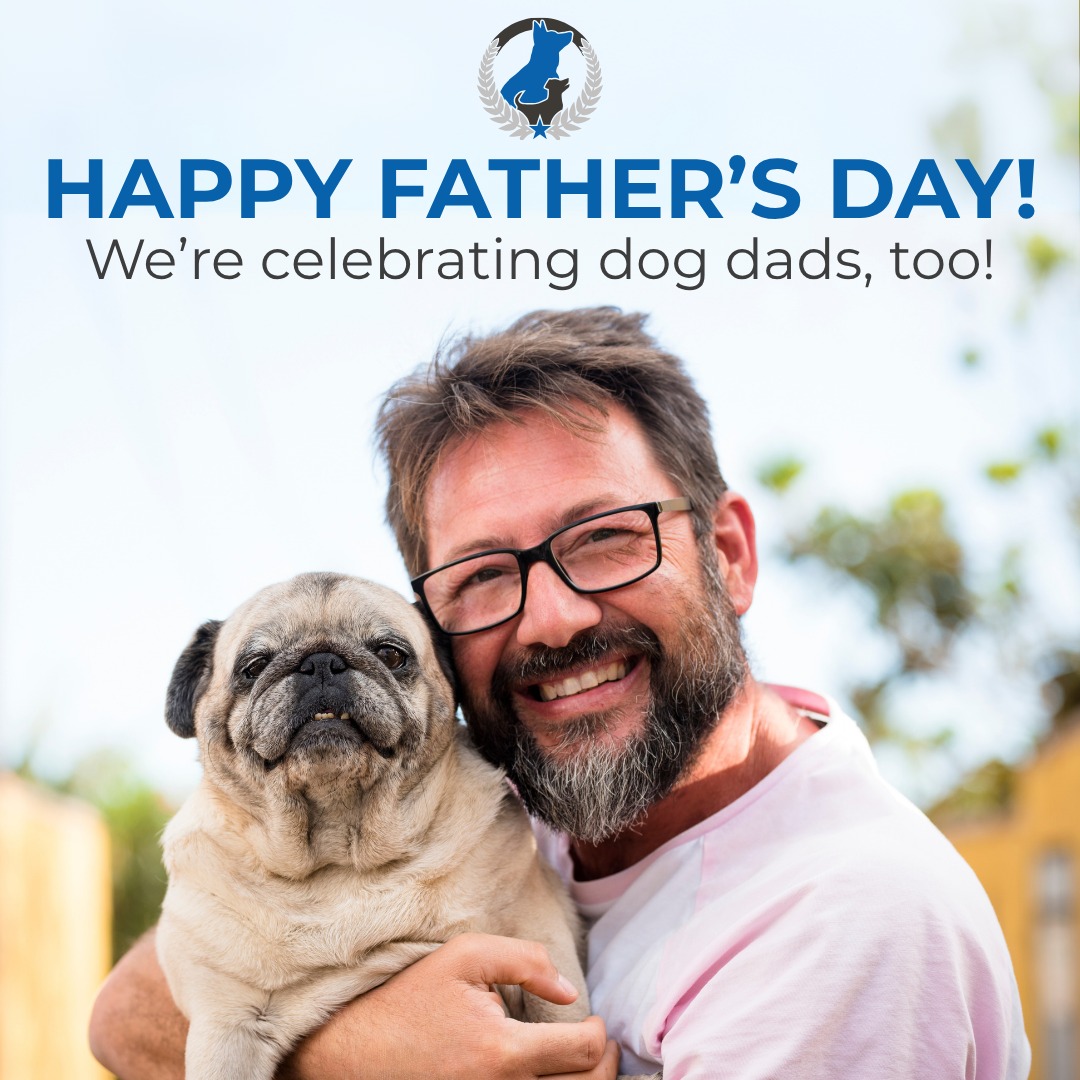 Father's Day celebrates dog dads, too! 🐾

This year, give a gift that strengthens the connection between dad and his loyal companion:

💙 A hiking trip
💙 A dog dad mug or t-shirt
💙 A backyard agility course
💙 A professional dog training session 

At Dog Training Elite of the NC Triangle, we offer in-home training that helps dads and their dogs communicate better, build routines, and enjoy more time together.

Request your free training assessment today!

