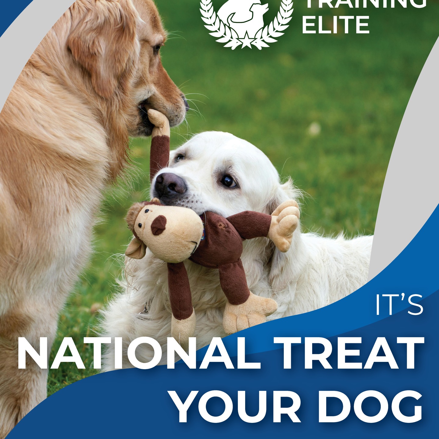 If you needed an excuse, here it is. 🥳 We all treat our dogs everyday but its OK to go a little overboard in the spirit of the holiday. Extra couch time, a new toy, pay the increased cheese tax. Let you dog know how much you appreciate them. 🐶❤️ 

Nat treat your dog Meta.png
You cannot edit this content