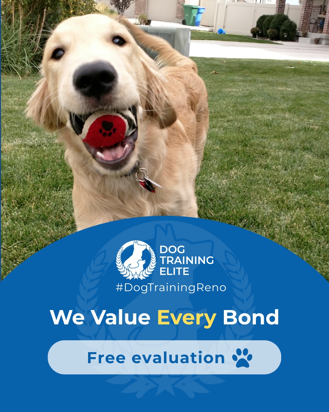 Is your dog really telling you how they feel? Every dog-owner relationship is unique. Training with Chris at Dog Training Elite Reno builds communication, focus, and trust, whether you&rsquo;re working on obedience, therapy, or service skills. Learning to read your dog&rsquo;s signals strengthens your bond and helps them thrive in every situation.

 Warm up your winter with a well-trained pup. Schedule your free in-home evaluation and see why families in Reno, Sparks, and surrounding areas trust Dog Training Elite for results that last through every season.
📍 https://maps.app.goo.gl/ZRzGfemQvtXWwd8r7


