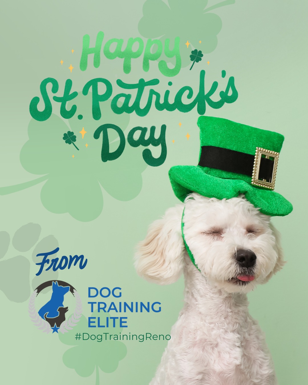 Our clients & their pups always make us feel the luckiest 🍀 

From DTE we want to wish you a St. Patrick&rsquo;s Day filled with extra playtime, confidence-building games, and fun training challenges. A little luck goes a long way when you&rsquo;re strengthening focus, calm behavior, and your bond. Show your dog some love and let them shine today!

🎯 Warm up your winter with a well-trained pup. Schedule your free in-home evaluation and see why families in Reno, Sparks, and surrounding areas trust Dog Training Elite for results that last through every season.
📍 https://maps.app.goo.gl/ZRzGfemQvtXWwd8r7



 