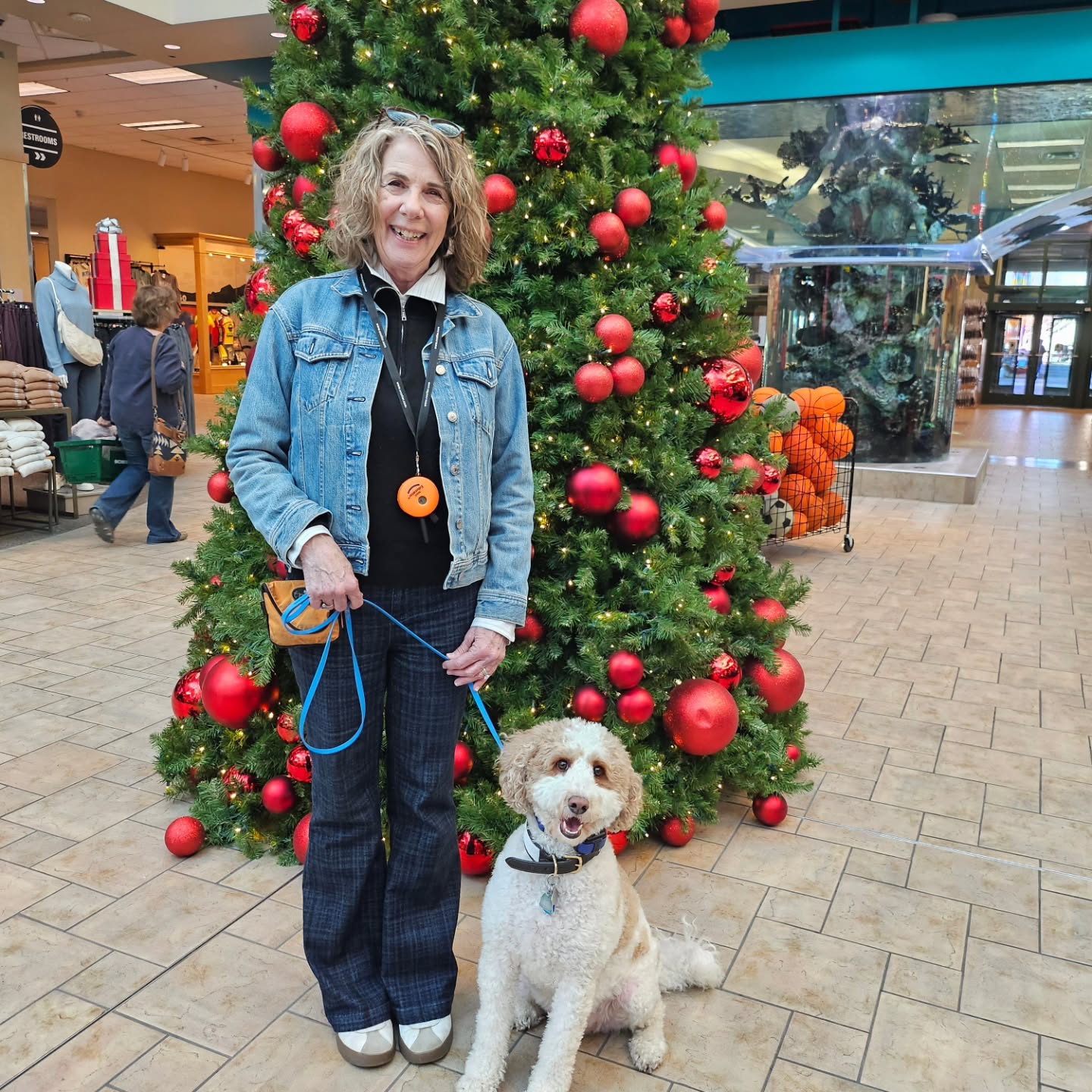 Black belt training day at Legends.  Peyton did incredible well with all of the hustle and bustle.  He conquered the escalator, did some greetings, and worked on some new positions for his job.  Big thanks to @sparksscheels for always being a safe but dynamic place for training our service dogs and therapy dog teams.  #ᴅᴏɢʟᴏᴠᴇʀ ﬁg 