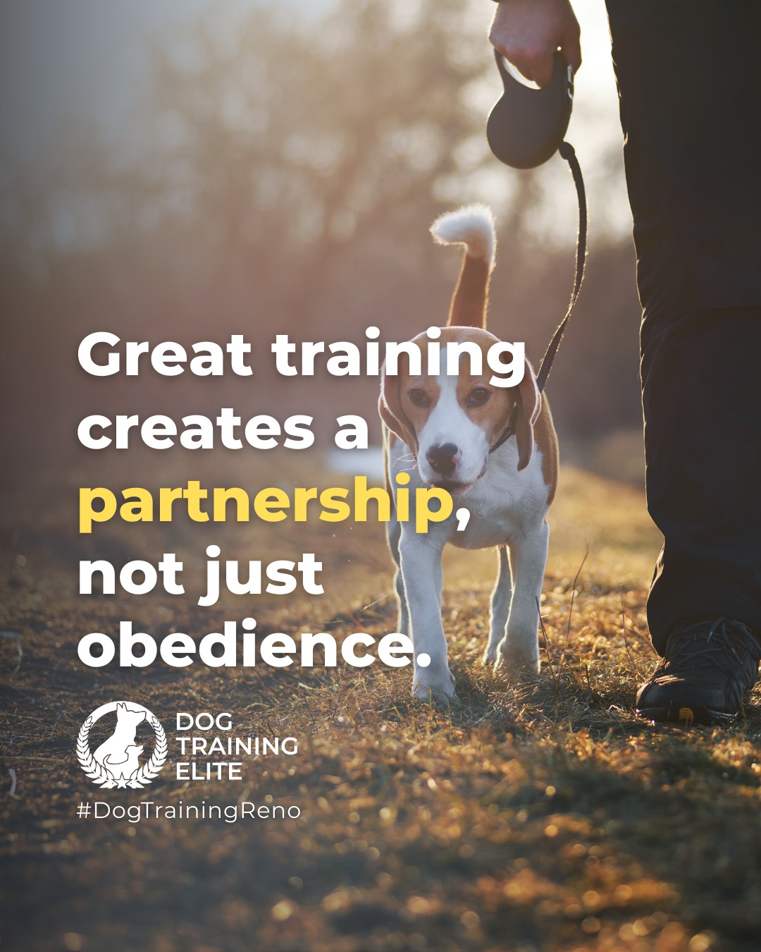 True partnership comes from understanding your dog and teaching them to respond calmly in everyday situations. 

Try these tips:
 ✅ Practice commands in different environments to generalize learning
 ✅ Reward calm behavior consistently, not just correct responses
 ✅ Use short, frequent training sessions to build focus and trust

When training becomes a partnership, your dog isn&rsquo;t just listening, they&rsquo;re learning to communicate and make good choices with confidence.

Make better behavior your first win of the year. Book your free in-home evaluation and see why Reno and Sparks dog owners choose Dog Training Elite for real, lasting results.
 📍 https://maps.app.goo.gl/ZRzGfemQvtXWwd8r7


