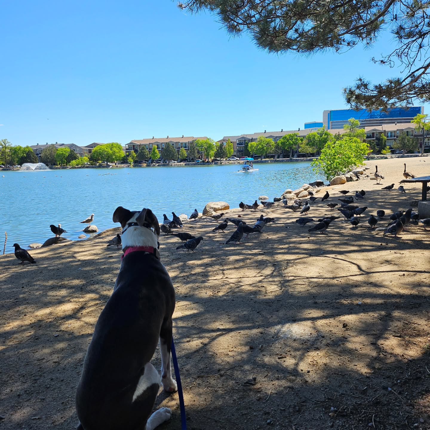 Hello Birb.  This would have been an absolute meltdown 2 months ago.  
