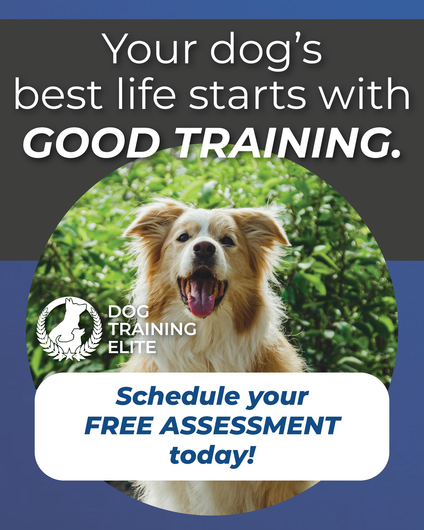 Looking for help with problem behaviors. We are here to help you give your dog the life you all deserve.