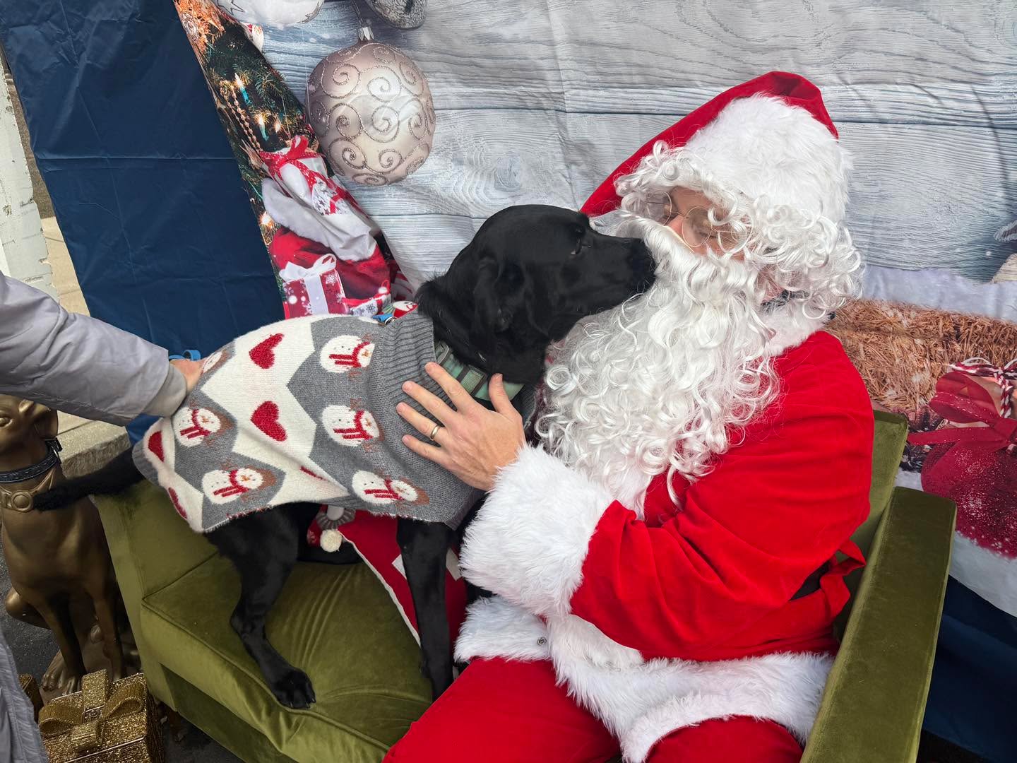 Kona thought she saw some mistletoe and gave Santa a kiss.