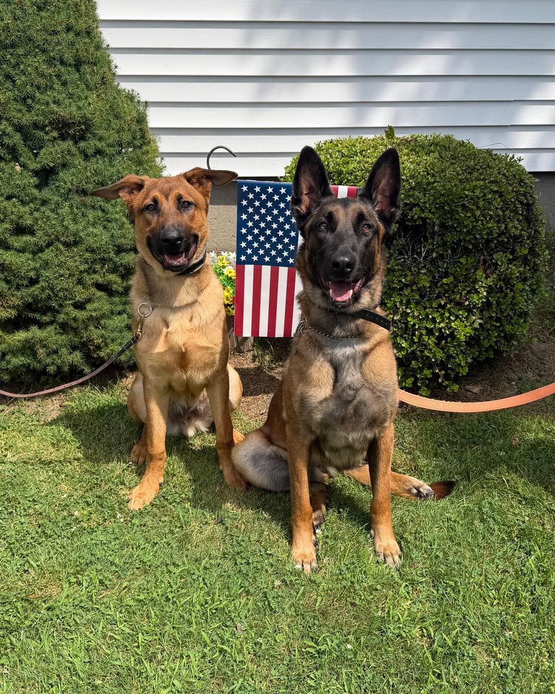 Congratulations to Aruba and Kodiak for graduating obedience classes. This dynamic duo are both smart and eager to please which makes working with them a lot of fun!