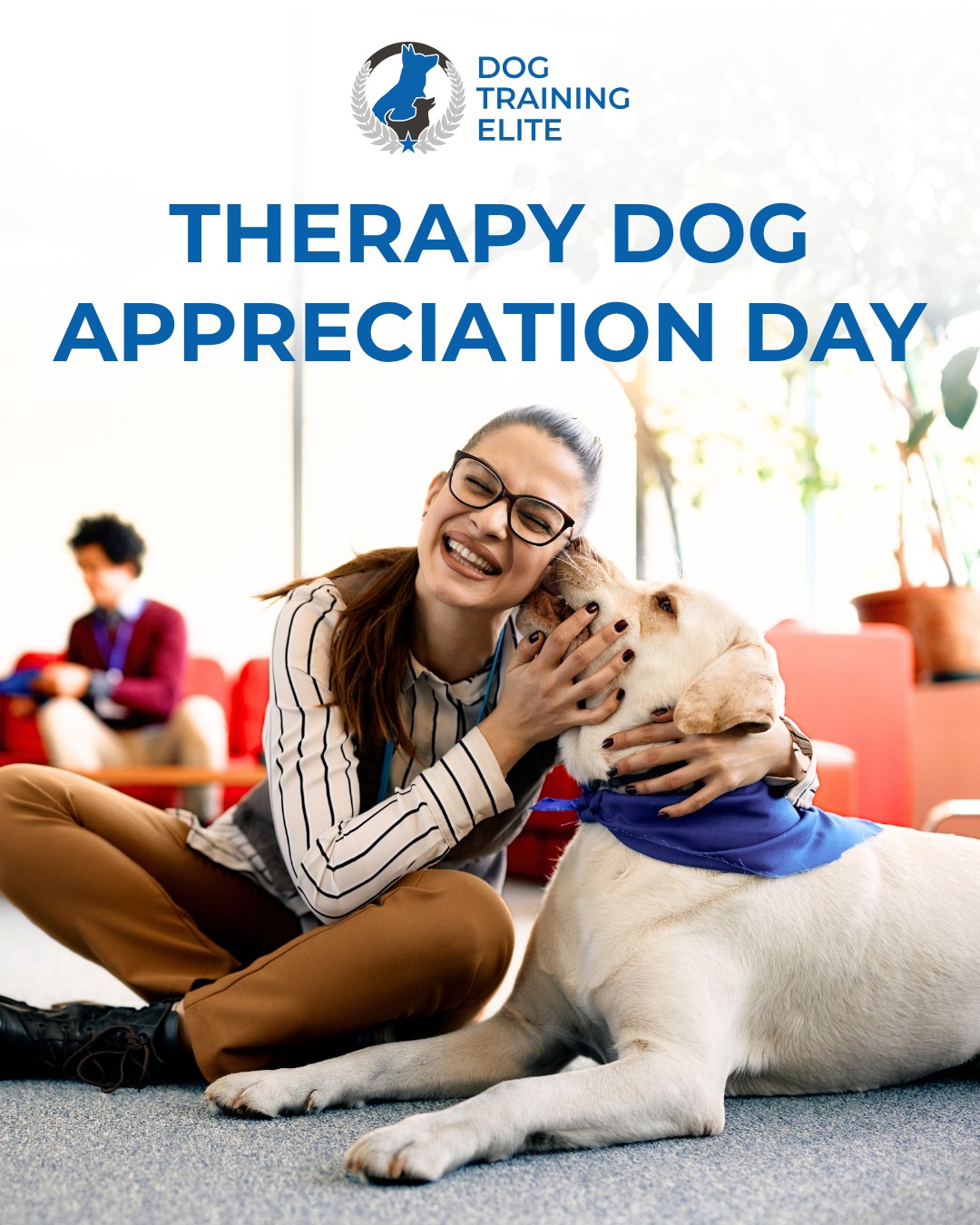Today, we celebrate Therapy Dog Appreciation Day and the incredible dogs who bring comfort and support to our communities. 🐕&zwj;🦺❤️

At Dog Training Elite Rhode Island, we are proud to help dogs and their handlers build the skills needed to serve with confidence.

Call 401-399-4177 today to learn more or get a free consultation.

