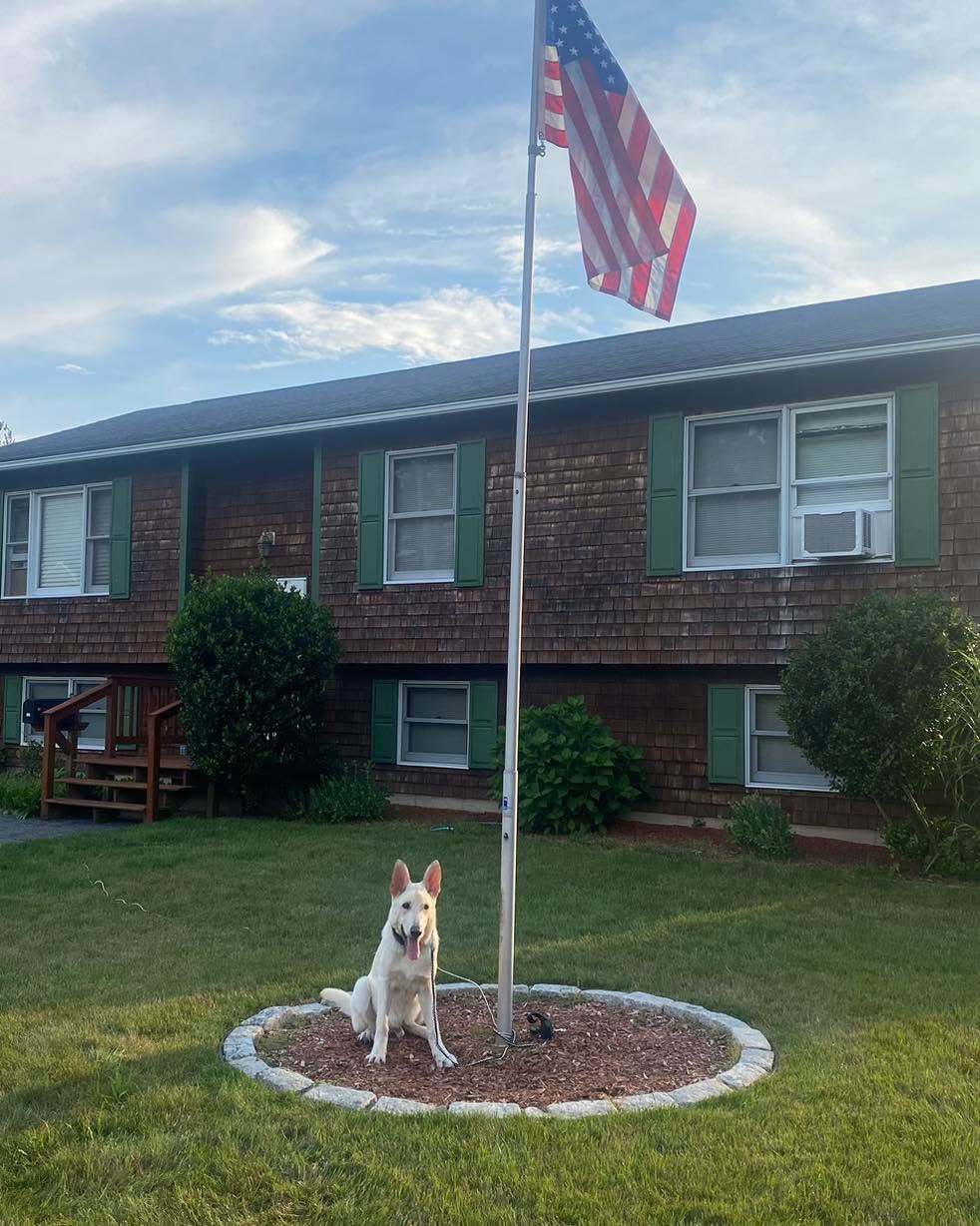 Congratulations to Zero for graduating obedience classes. This young pup is doing an amazing job thanks to his owners taking the time to practice with him.