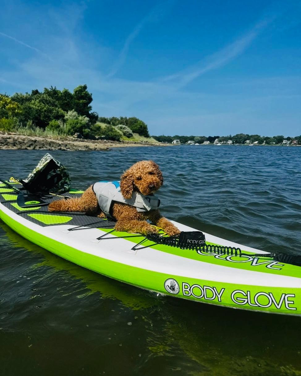 We are so proud of Bear! He is acing the place command. Having a well trained dog makes it easier to take them on fun adventures.