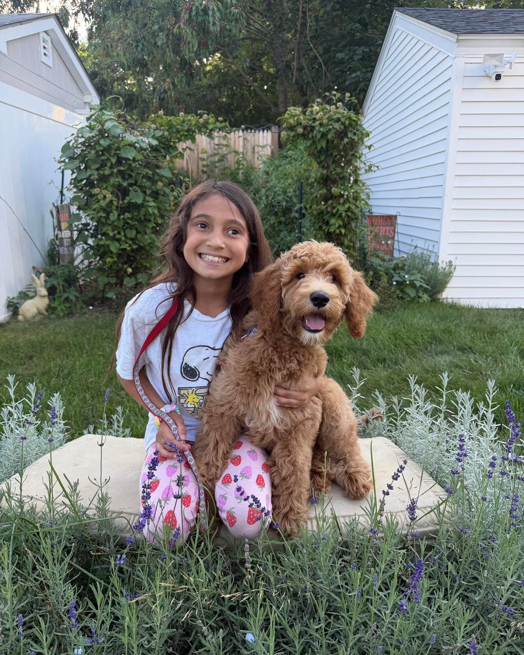 Welcome to the pack Benji. This adorable pup has been doing a great job working on his puppy foundations.