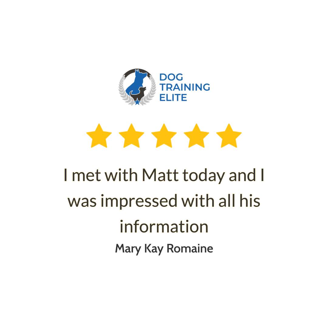 It&rsquo;s a good feeling when you sit down with a trainer and everything starts to make sense. One of our recent clients met with Matt and said they were impressed with all his information, and that&rsquo;s exactly how we want you to feel from the very first visit. At Dog Training Elite Richmond, our dog trainer team focuses on clear steps you can use right away, whether you need puppy training, obedience training, or in home dog training that fits your real life. We also help with bigger challenges like aggressive dog training, and we always work to build trust and calm behavior, not fear. If you&rsquo;re in Midlothian, Chesterfield, or Glen Allen and searching for a dog trainer near me, let&rsquo;s talk about your goals and make a plan that works for you and your dog. Book your free assessment with our team today to get started.