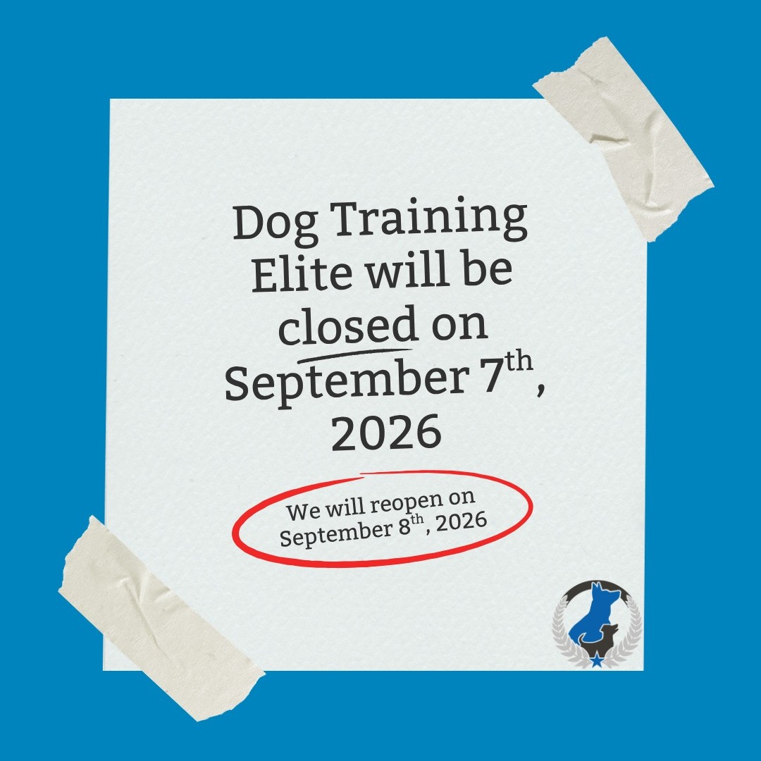 Dog Training Elite will be closed on September 7th, 2026 in observance of Labor Day. We will reopen the following day on September 8th, 2026. 

We hope everyone and their pups have a wonderful holiday!