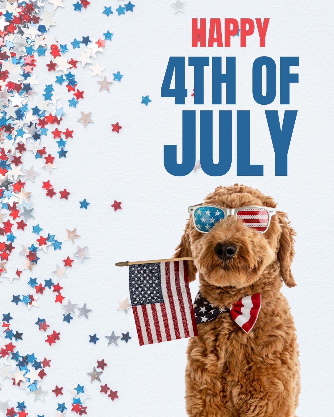 Happy Fourth of July from the team at DTE Richmond!

A lot of dogs can be easily startled by fireworks and other loud noises, so please remember to keep your pups safely indoors when the time comes. 

