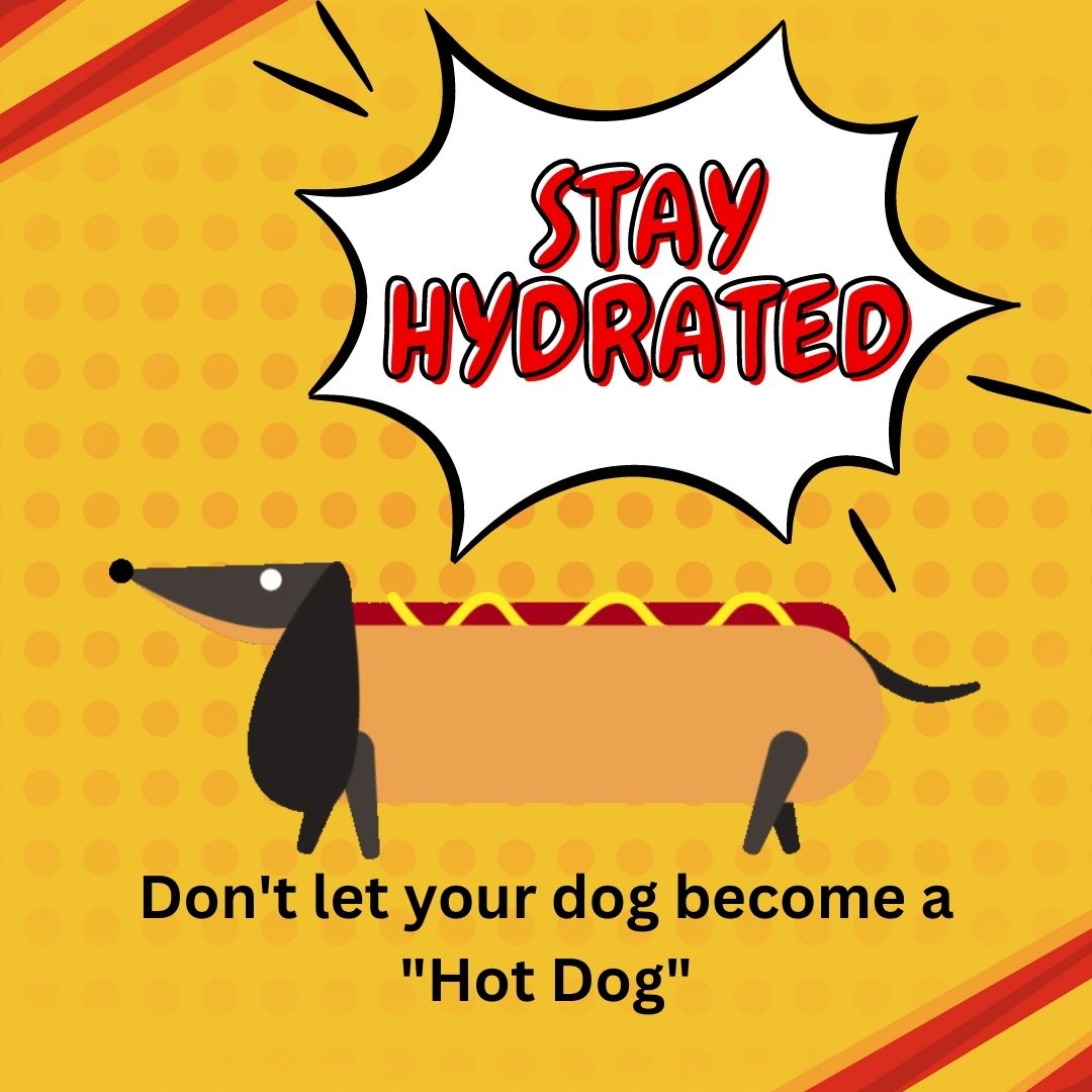 Keep those water bowls filled!