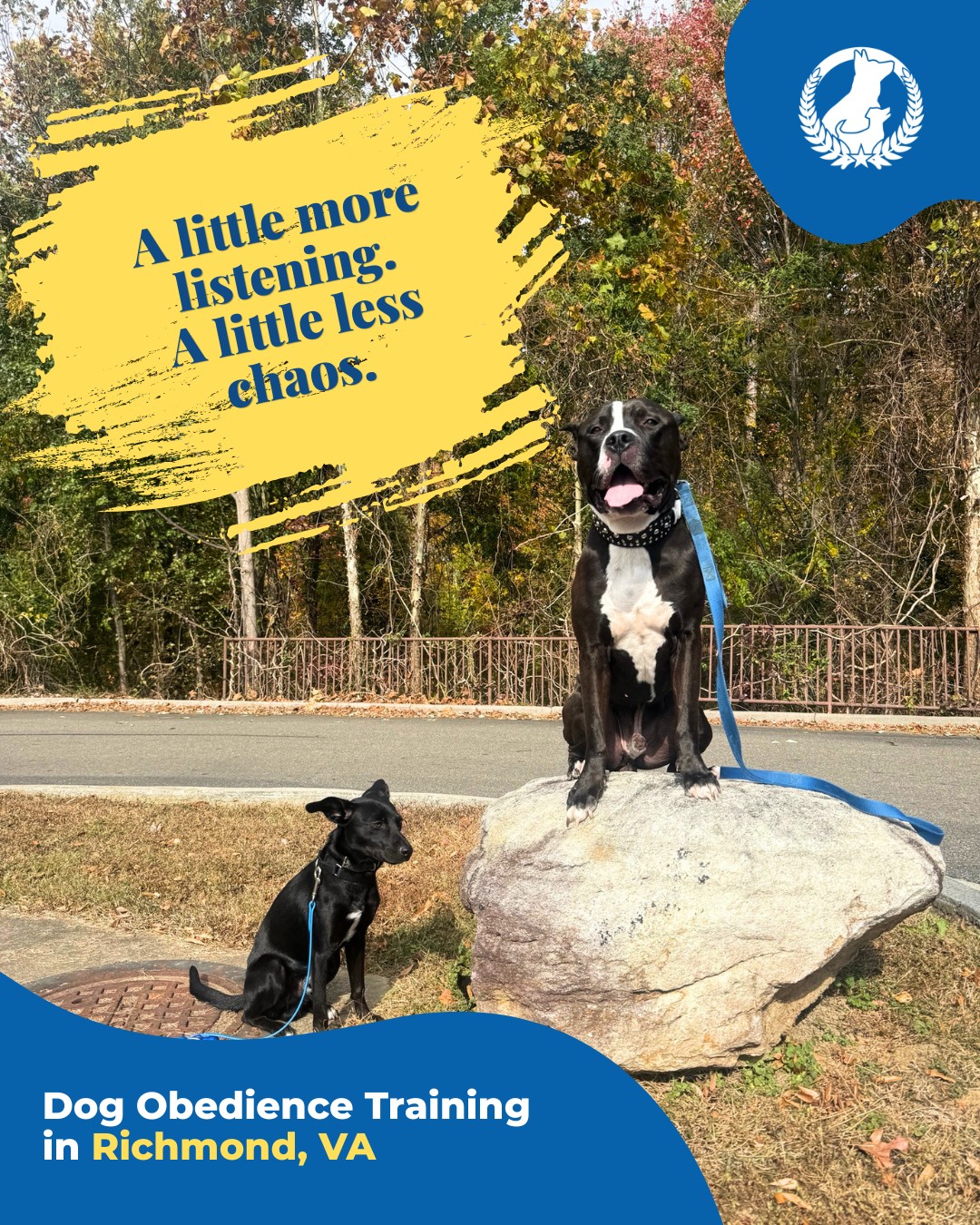 Sit. And your dog sits.

Come. And your dog comes.

Sounds pretty nice, right? Now imagine building those skills into everyday life, even when there are distractions around. 🐾

Our obedience training focuses on essential commands, leash manners, boundaries, and helping dogs respond more reliably at home and in public.

You don't have to figure it all out on your own.

Looking for dog obedience training in Richmond, VA? Let's talk about your goals.

Visit dogtrainingelite.com/richmond to request your free assessment.

