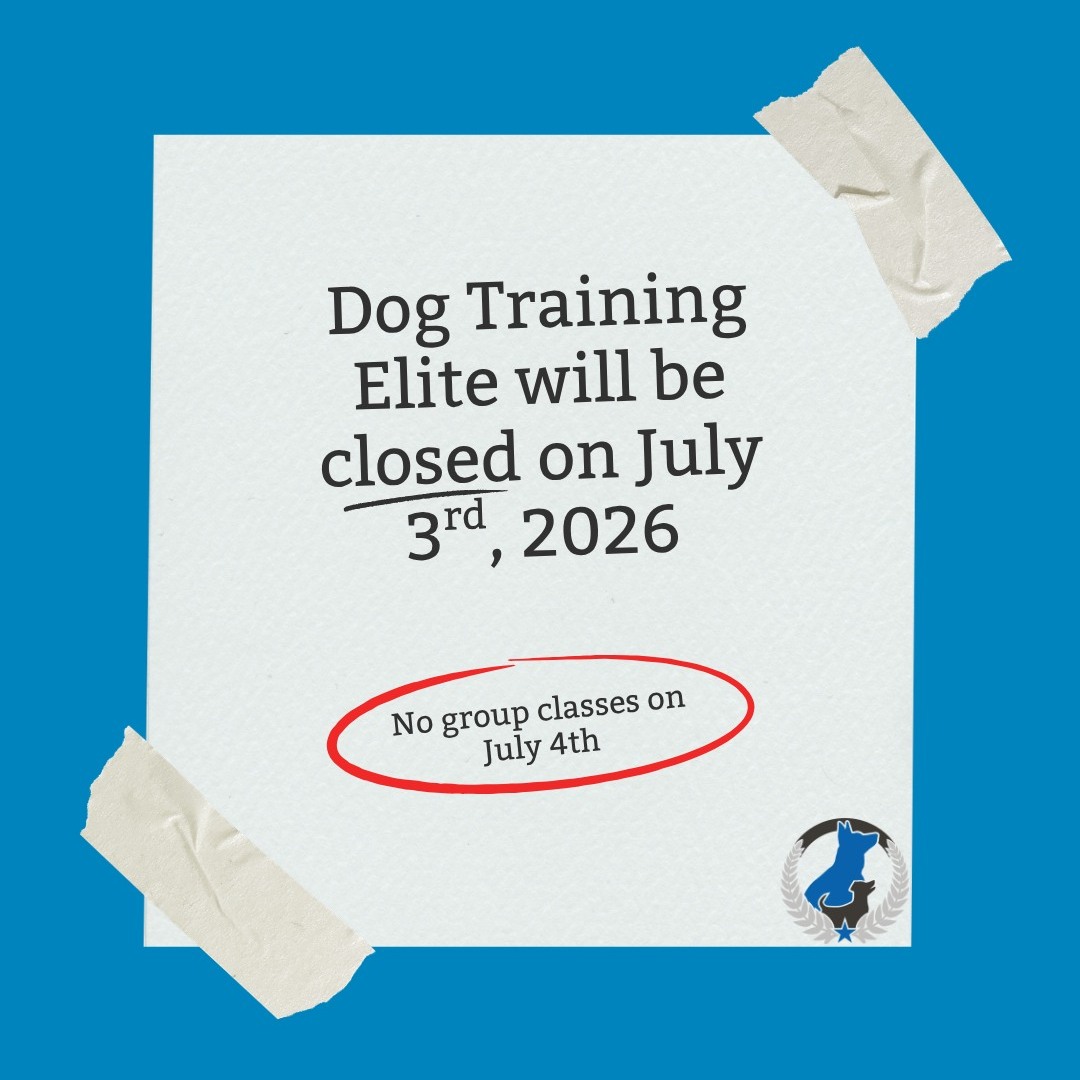 Dog Training Elite Richmond will be closed from July 3rd to July 5th. We will reopen on July 6th. 

