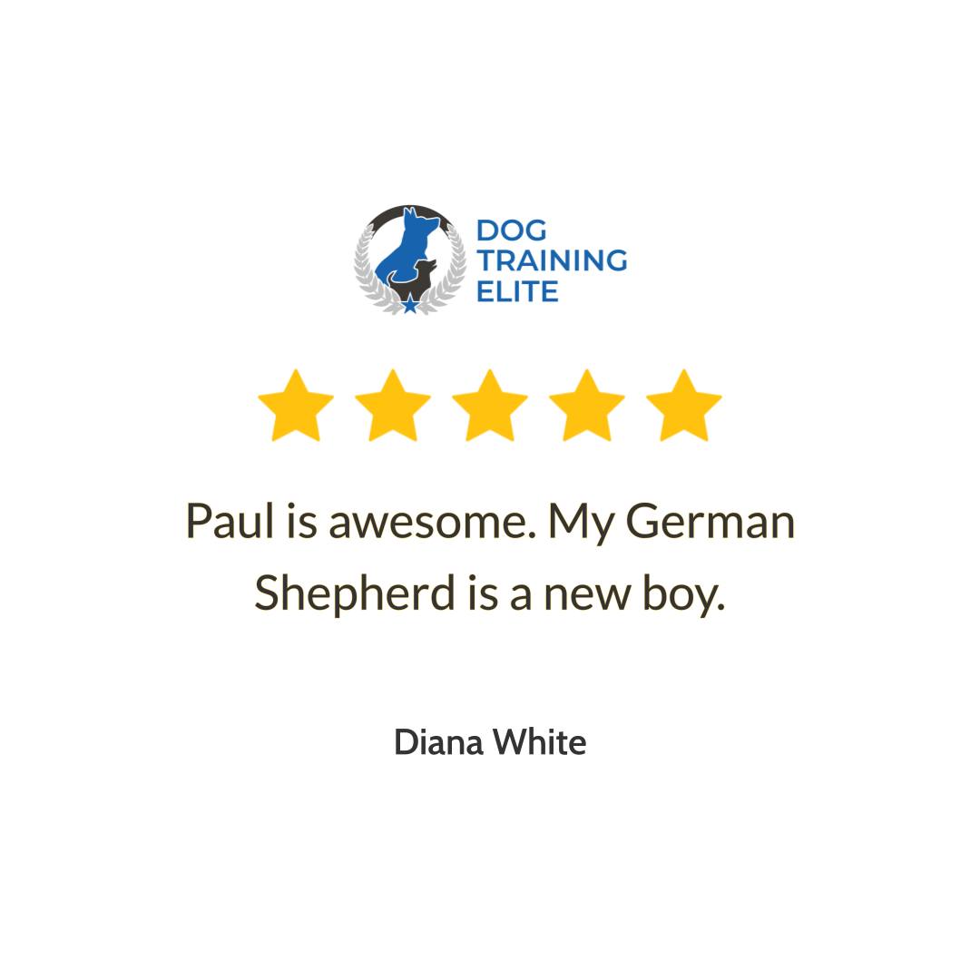 There&rsquo;s something special about watching a &ldquo;new boy&rdquo; start to settle in and trust his people. We loved reading this review: &ldquo;Paul is awesome. My German Shepherd is a new boy..&rdquo; At Dog Training Elite Richmond, our dog trainer team focuses on dog training that puts owners in the driver&rsquo;s seat, so your dog learns to look to you for direction and becomes eager to please. With clear leadership and consistent practice, obedience training stops feeling like a battle and starts feeling like teamwork you can use every day.

Whether you&rsquo;re starting with puppy training basics or working through bigger behavior challenges, our in home dog training is built around real life in your home and neighborhood. We also offer aggressive dog training when you need a smart plan to build calm, reliable habits. Families in Midlothian, VA, Chesterfield, VA, and Glen Allen, VA come to us because they want a well-mannered dog they&rsquo;re excited to take places, not just a dog that can do commands.

Ready to help your dog feel confident and well-behaved this fall? Reach out to schedule your free assessment with Dog Training Elite Richmond today.