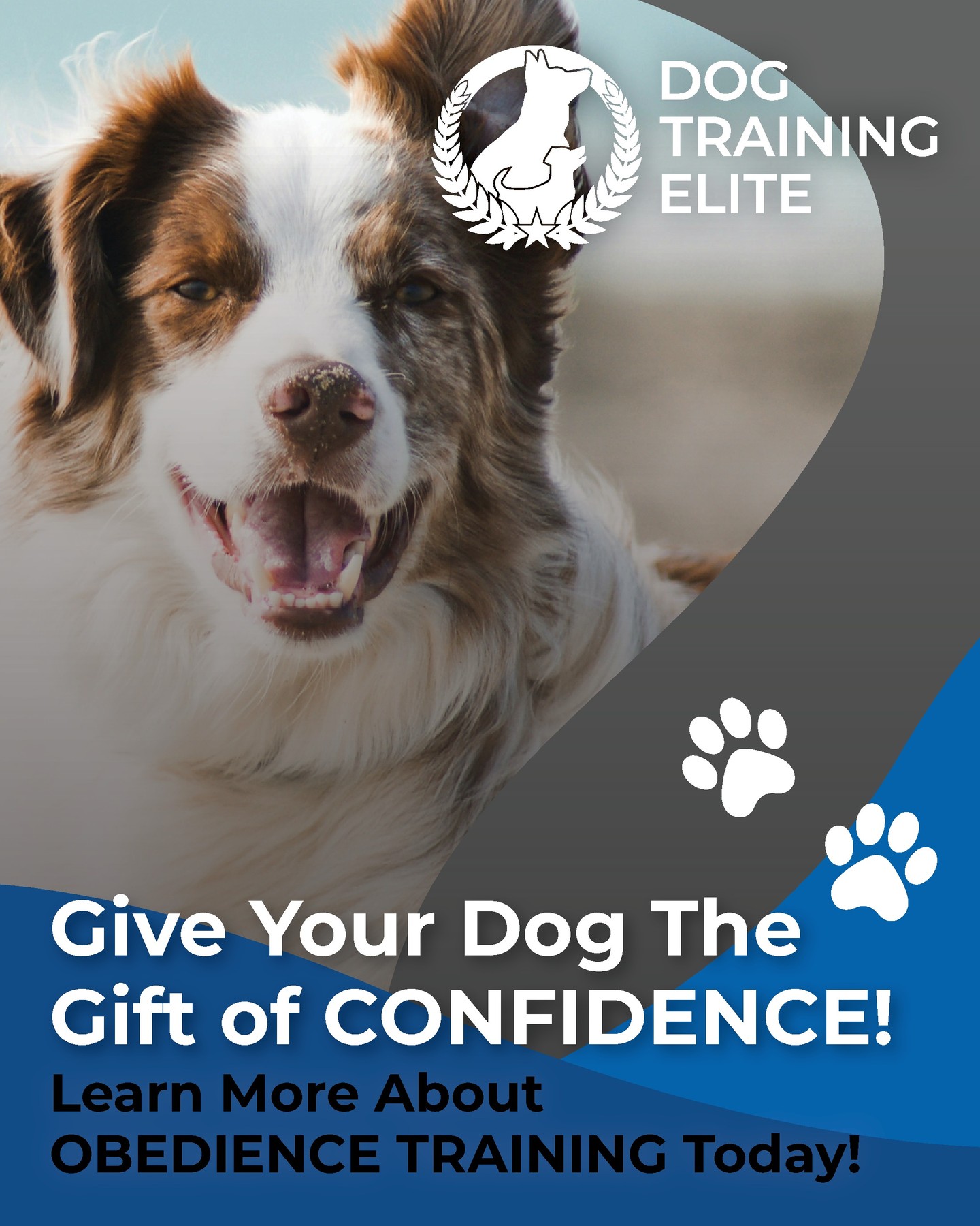 A confident dog is a better dog! Training builds confidence and trust. We can help you! Contact us today!
