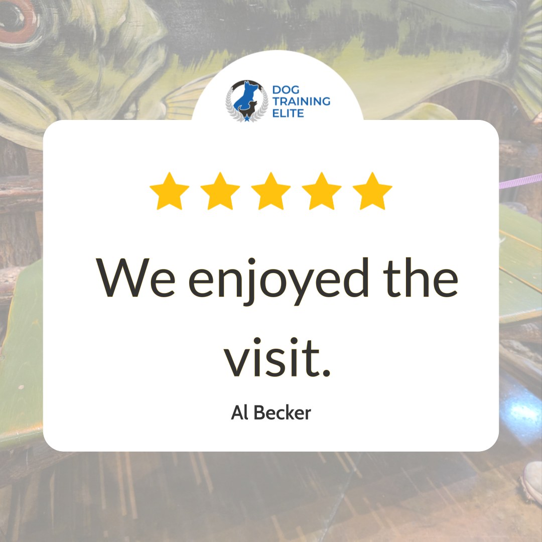 A quick, happy note like &ldquo;We enjoyed the visit&rdquo; makes our whole team smile. At Dog Training Elite Richmond, we work hard to make every session feel welcoming, clear, and worth your time, whether you&rsquo;re starting fresh with puppy training or polishing manners with obedience training. If you&rsquo;ve been searching for a dog trainer near me in Midlothian, Chesterfield, or Glen Allen, our goal is to give you simple steps you can use right away at home and out in the real world. We tailor dog training to your dog&rsquo;s personality and your family&rsquo;s routine, so progress feels steady and doable. From puppy training near me questions to real-life obedience goals, we&rsquo;re here to help you build a calm, confident dog you can enjoy every day. Message us today to set up a free assessment and choose the right plan for your dog.