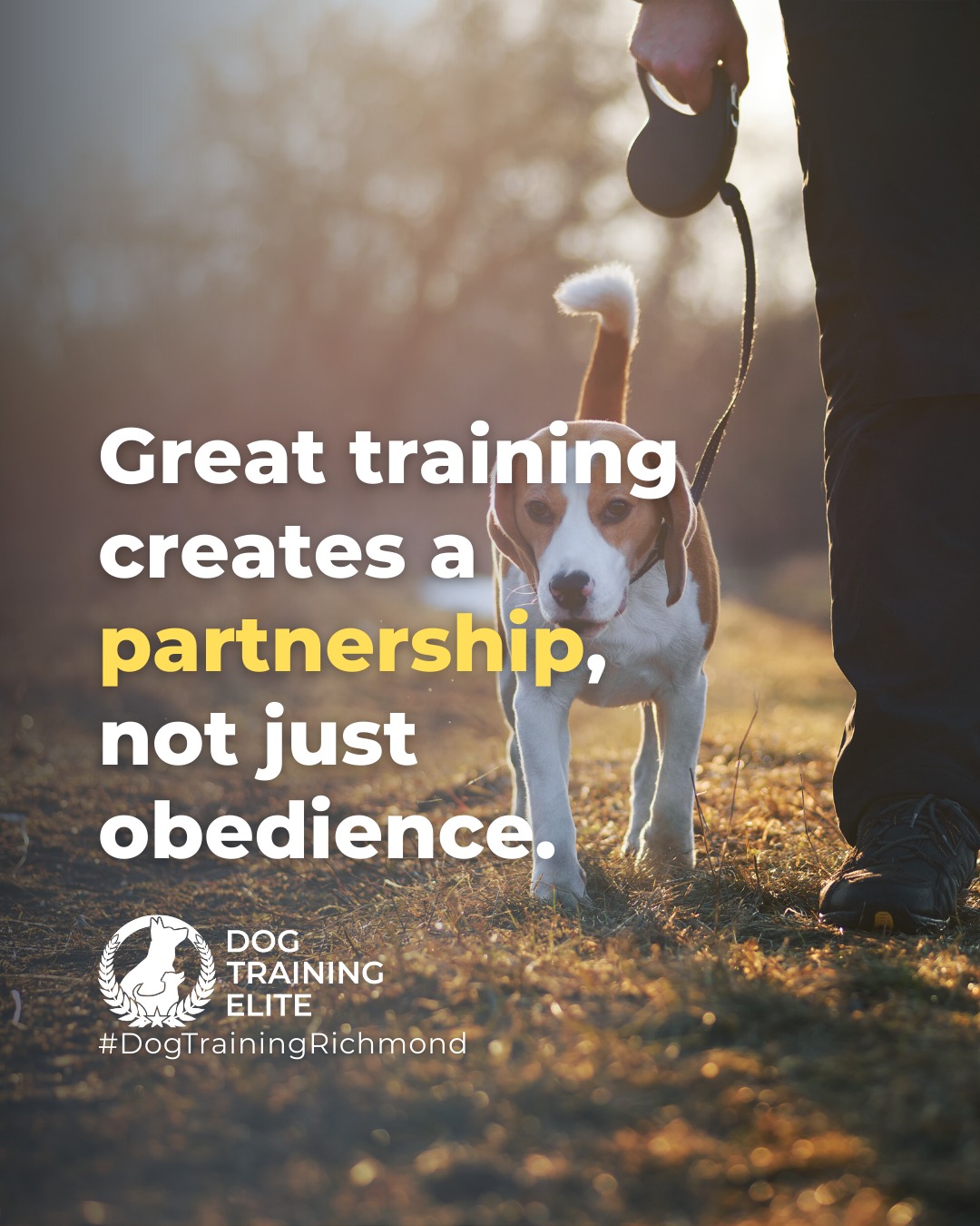 True partnership comes from understanding your dog and teaching them to respond calmly in everyday situations. 

Try these tips:
 ✅ Practice commands in different environments to generalize learning
 ✅ Reward calm behavior consistently, not just correct responses
 ✅ Use short, frequent training sessions to build focus and trust

When training becomes a partnership, your dog isn&rsquo;t just listening, they&rsquo;re learning to communicate and make good choices with confidence.

Make better behavior your first win of the year. Book your free in-home evaluation and see why Richmond and Henrico dog owners choose Dog Training Elite for real, lasting results.
 📍 https://maps.app.goo.gl/oX9XBFM9RxQjVXK98


