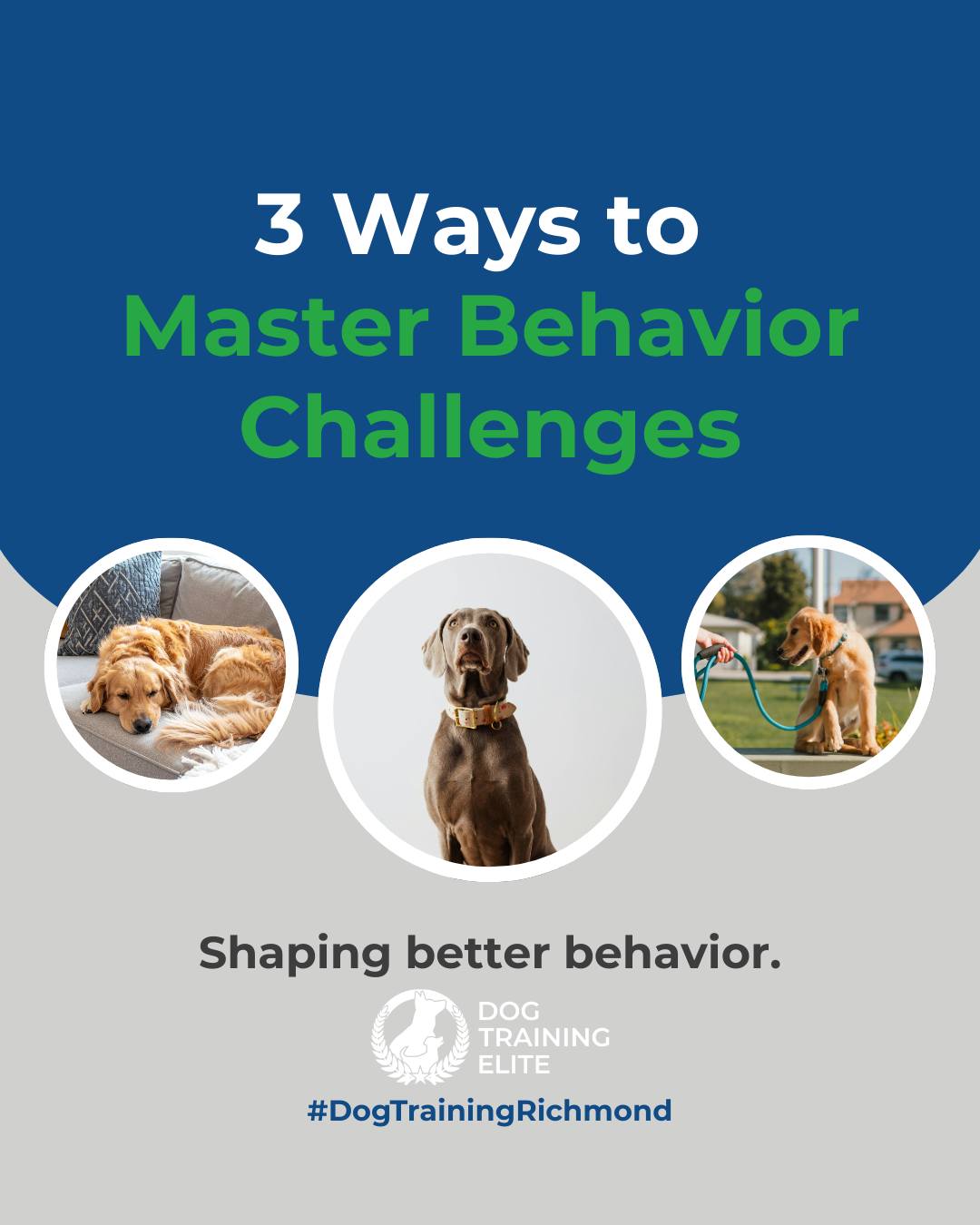 Dogs don&rsquo;t outgrow behavior problems on their own. They thrive when given structure, guidance, and consistent training. If your dog struggles with focus, impulse control, or reactivity, you are not alone. 

Here are 3 ways to support your dog&rsquo;s growth:
1️⃣ Provide consistent daily routines
2️⃣ Practice controlled exposure to triggers
3️⃣ Reward calm and focused behavior

Our team in Richmond is here to guide you and your dog every step of the way. 🐾

Make better behavior your first win of the year. Book your free in-home evaluation and see why Richmond and Henrico dog owners choose Dog Training Elite for real, lasting results.
 📍 https://maps.app.goo.gl/oX9XBFM9RxQjVXK98



