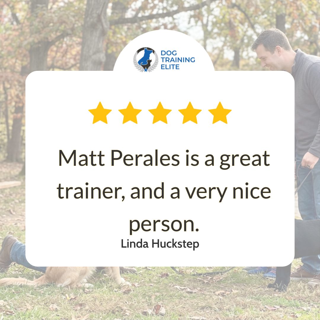 Some trainers just make the whole process feel easy, and that&rsquo;s why we loved hearing &ldquo;Matt Perales is a great trainer, and a very nice person.&rdquo; At Dog Training Elite Richmond, we focus on clear steps you can use at home, so dog training feels simple and doable for your family. If you&rsquo;re searching for a dog trainer near me in Midlothian, Chesterfield, or Glen Allen, our puppy training and obedience training programs help build manners like sit, come, and walking nicely on a leash. We also offer in home dog training for real-life practice, plus options for service dog training when you need reliable skills you can trust. Ready to get started with a plan that fits your dog and your goals? Book a free assessment today.