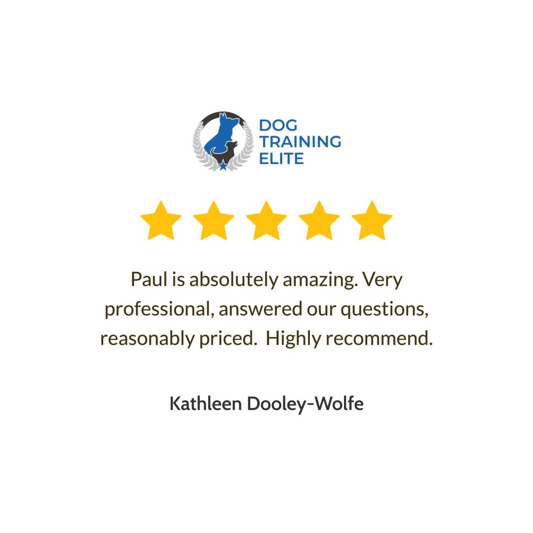 Some feedback just makes our whole team smile. A recent client shared that Paul is absolutely amazing, very professional, answered every question, and was reasonably priced, and we truly appreciate that trust. At Dog Training Elite Richmond, we believe the best dog training happens when owners are part of the process, learning how to lead with calm confidence so their dog wants to listen. Whether you need puppy training to get ahead of bad habits early, obedience training to tighten up manners at home and in public, or in home dog training that fits real life routines, we build a plan that makes sense for your family. Families from Midlothian, Chesterfield, and Glen Allen come to us because they want more than commands; they want a well-mannered dog they&rsquo;re excited to take places. If you&rsquo;re ready to work with a dog trainer who will guide you step-by-step, book your free assessment with Dog Training Elite Richmond today.