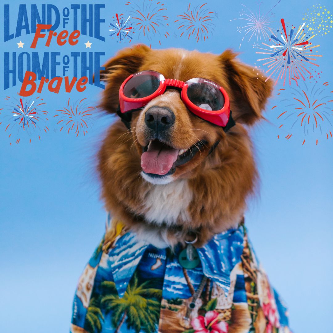 HAPPY INDEPENDENCE DAY!