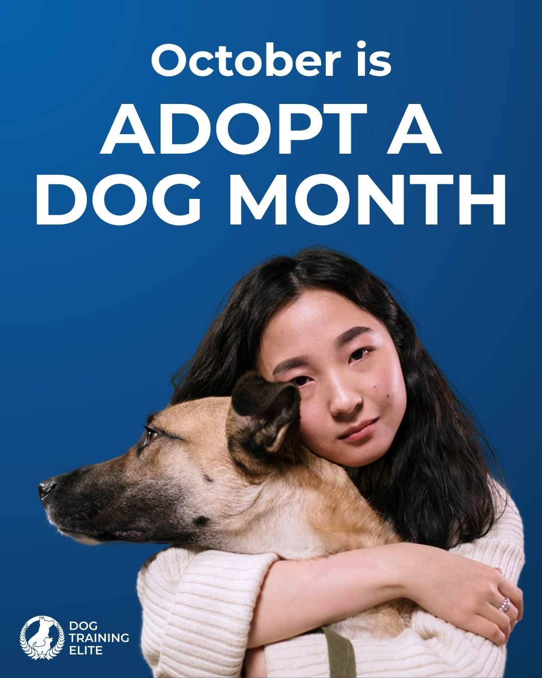 💙Celebrate Adopt a Dog Month by bringing a new dog home.💙

Every adopted dog comes with a unique personality and needs. As you get to know your new dog, professional training can help them learn good behavior.

At Dog Training Elite of South Houston, we work with you to find the right training approach for your dog. Contact us at 832-381-2111 to get a free consultation today.

