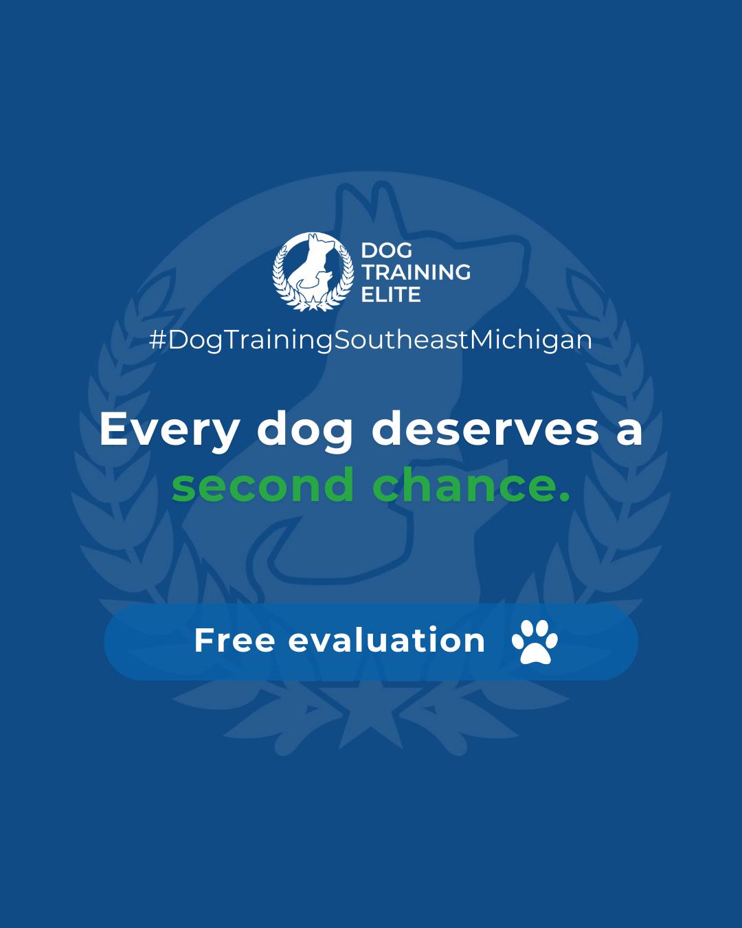 Fearful or reactive behaviors in dogs don&rsquo;t have to define their future. With patience, consistent structure, and professional guidance, dogs can learn to manage their triggers, build confidence, and respond calmly in challenging situations.

Our anxiety and reactivity programs focus on understanding the root causes of fear and aggression. By using controlled exposure, rewarding calm responses, and teaching owners effective handling techniques, dogs gain the skills they need to thrive.

Every dog has the potential to become a reliable, confident, and loving companion when given the right support. Start helping your dog today and watch them transform into the best version of themselves.

👉 Make better behavior your first win of the year. Book your free in-home evaluation and see why Ann Arbor Novi, and sorrounding areas' dog owners choose Dog Training Elite for real, lasting results.
📍 https://maps.app.goo.gl/ZMJjtMfua2k49cz58



