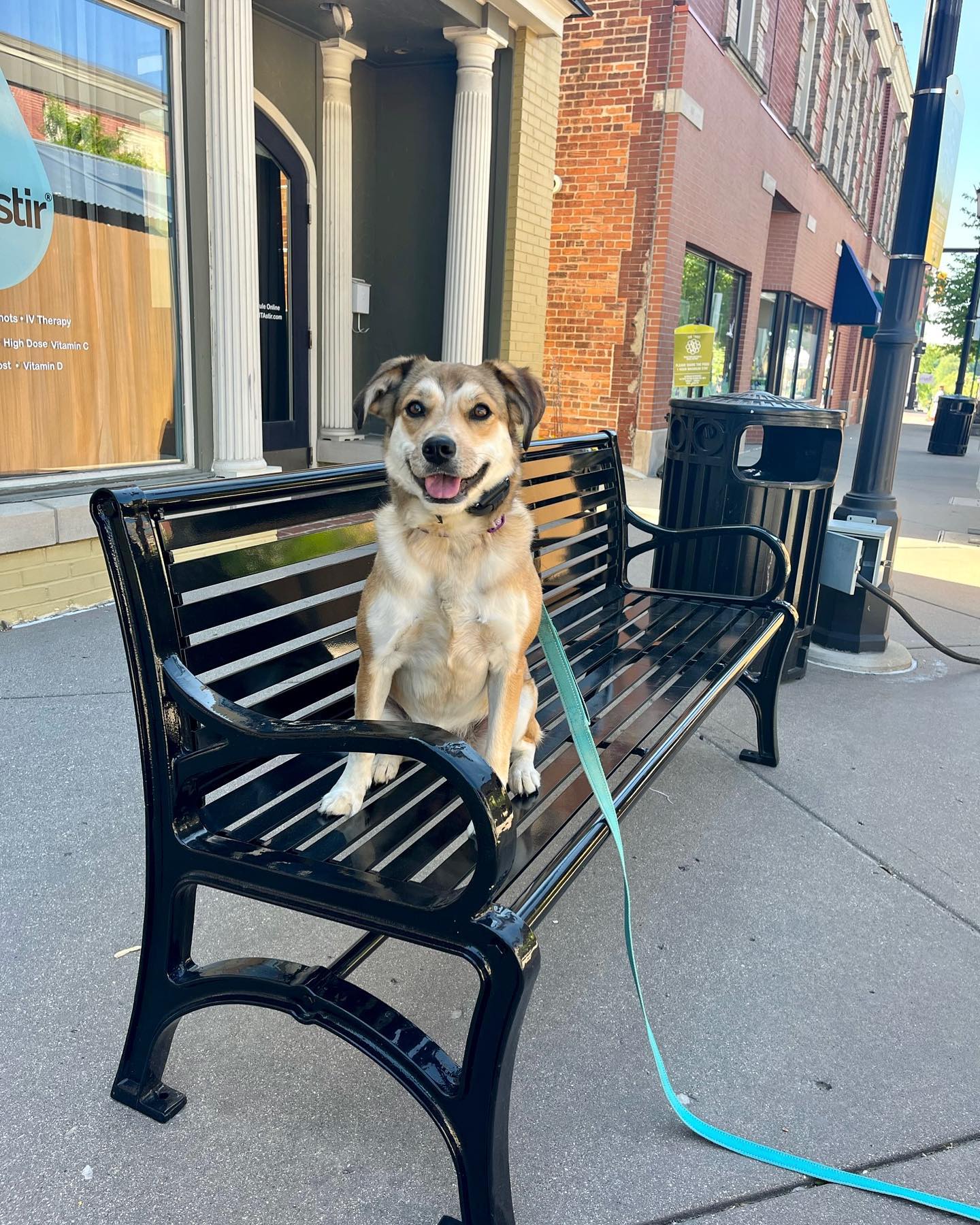 Happy Monday from our friend, Iggy! 👋

